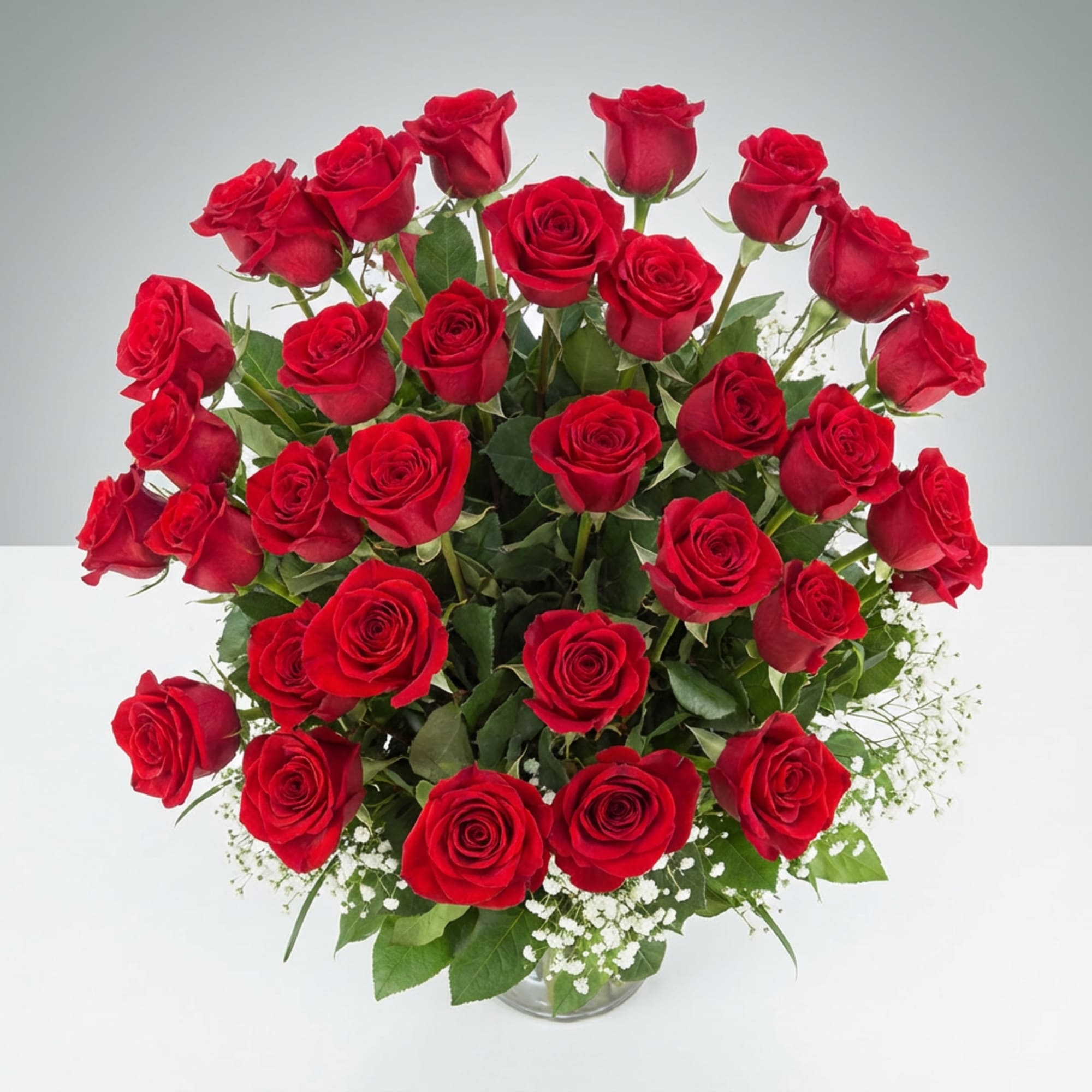   Pet Friendly?
Yes. Roses are considered non-toxic to cats and dogs