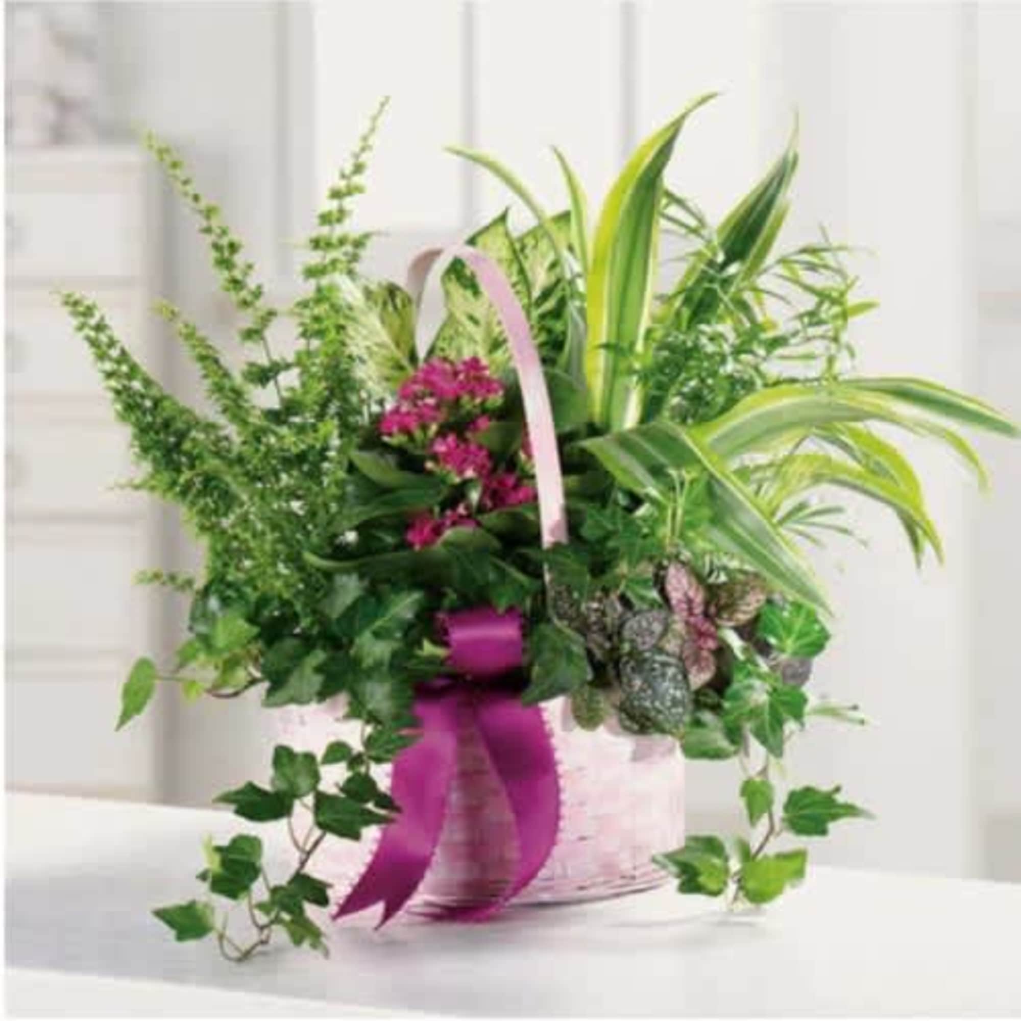 Pink flowers and mixed greenery in a pink basket with a ribbon