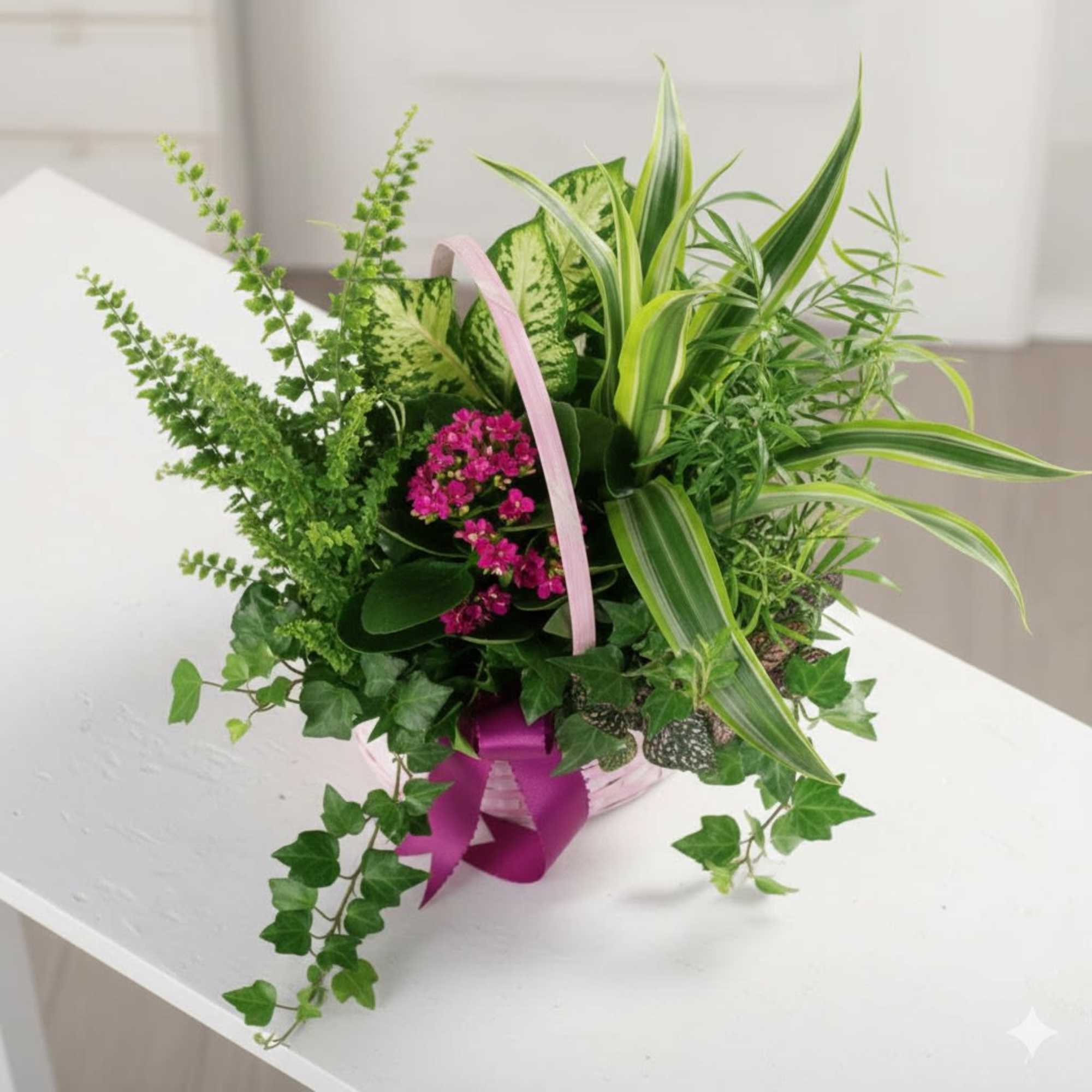  Pet Friendly?
No  &mdash; Some plants like Dieffenbachia and Dracaena can