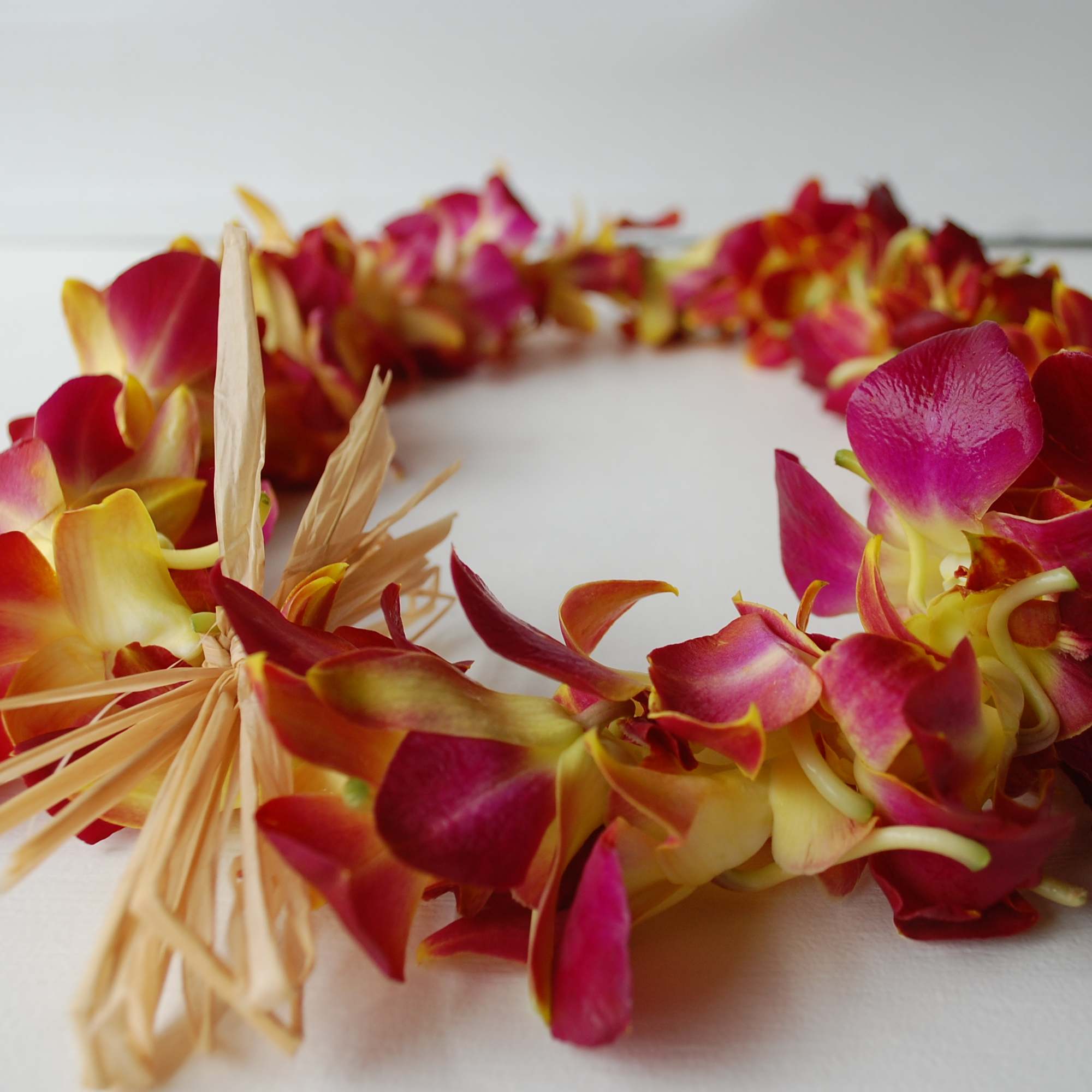 Wanna stand out from the crowd. This Ruby lei will be the