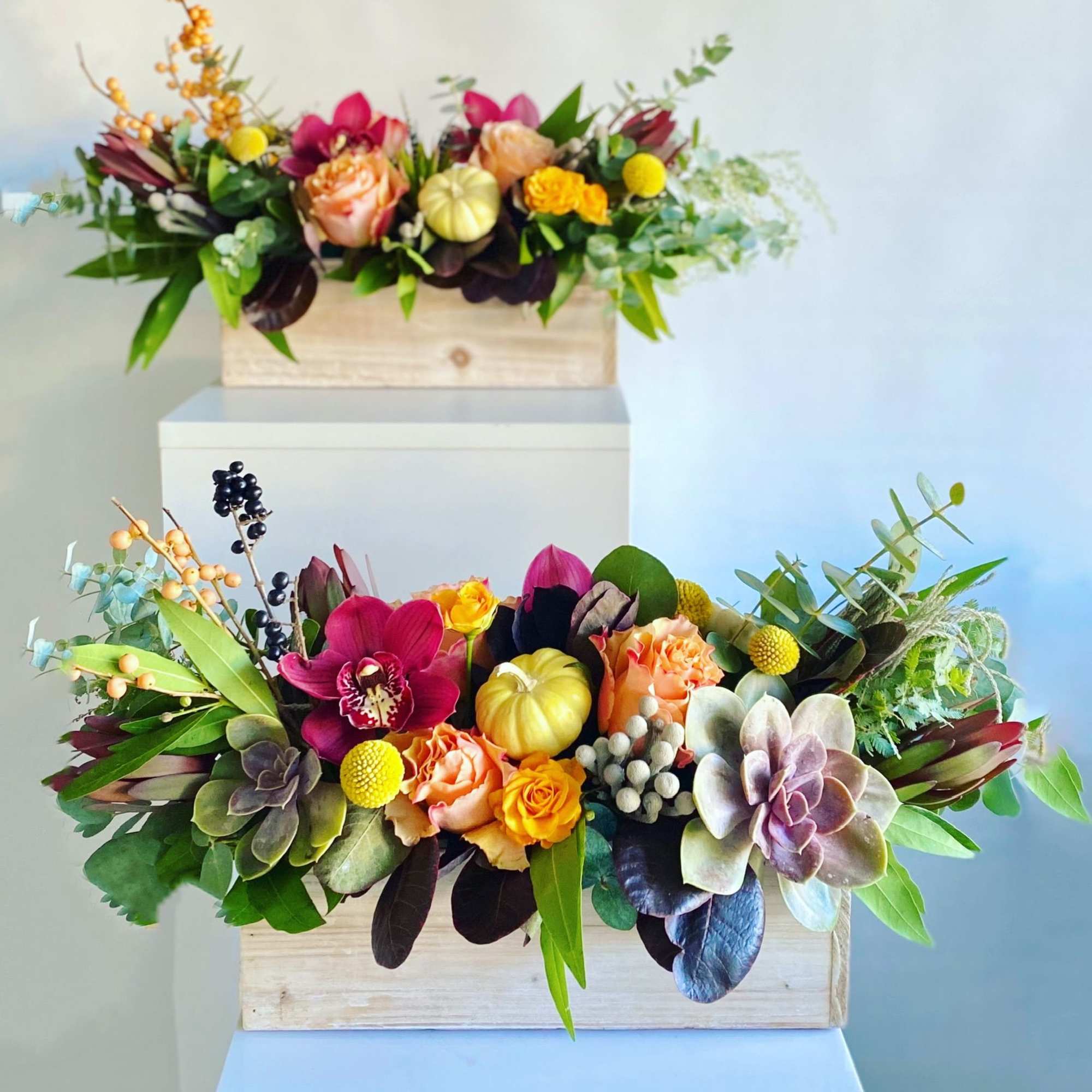 Two floral arrangements in wooden boxes with roses, orchids, and succulents