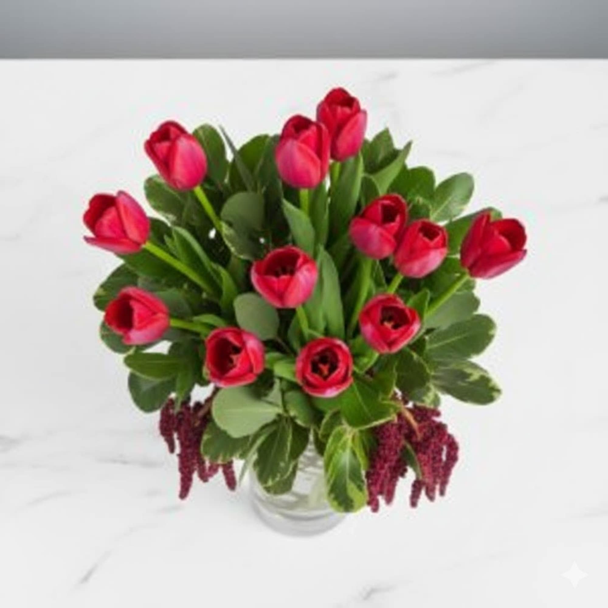  Pet Friendly?
No - Tulips can be toxic to cats and dogs