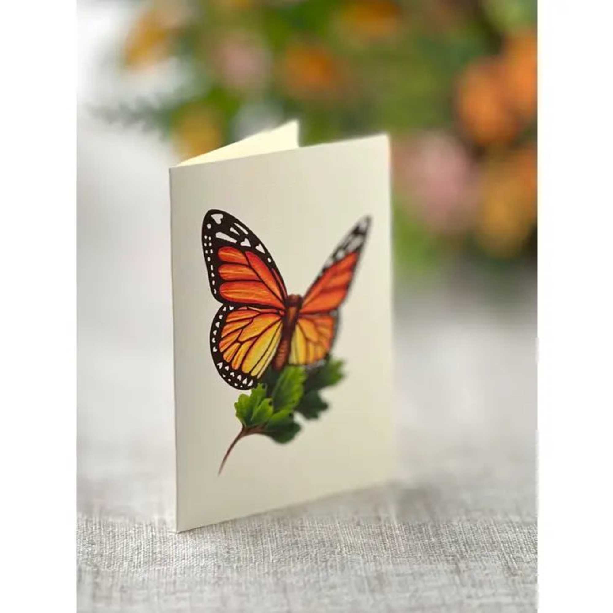 Experience the wonders of a woodland meadow: colorful butterflies, soft buttercups, and