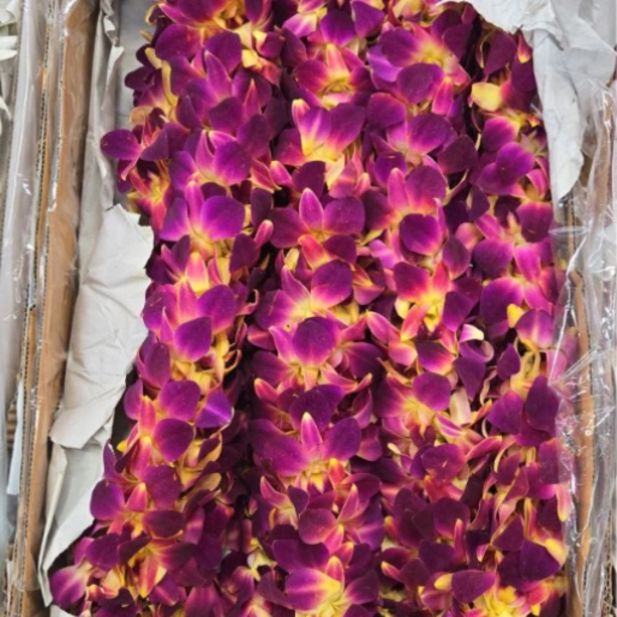 Graduation leis made of orchids in various colors. Please specify your desired