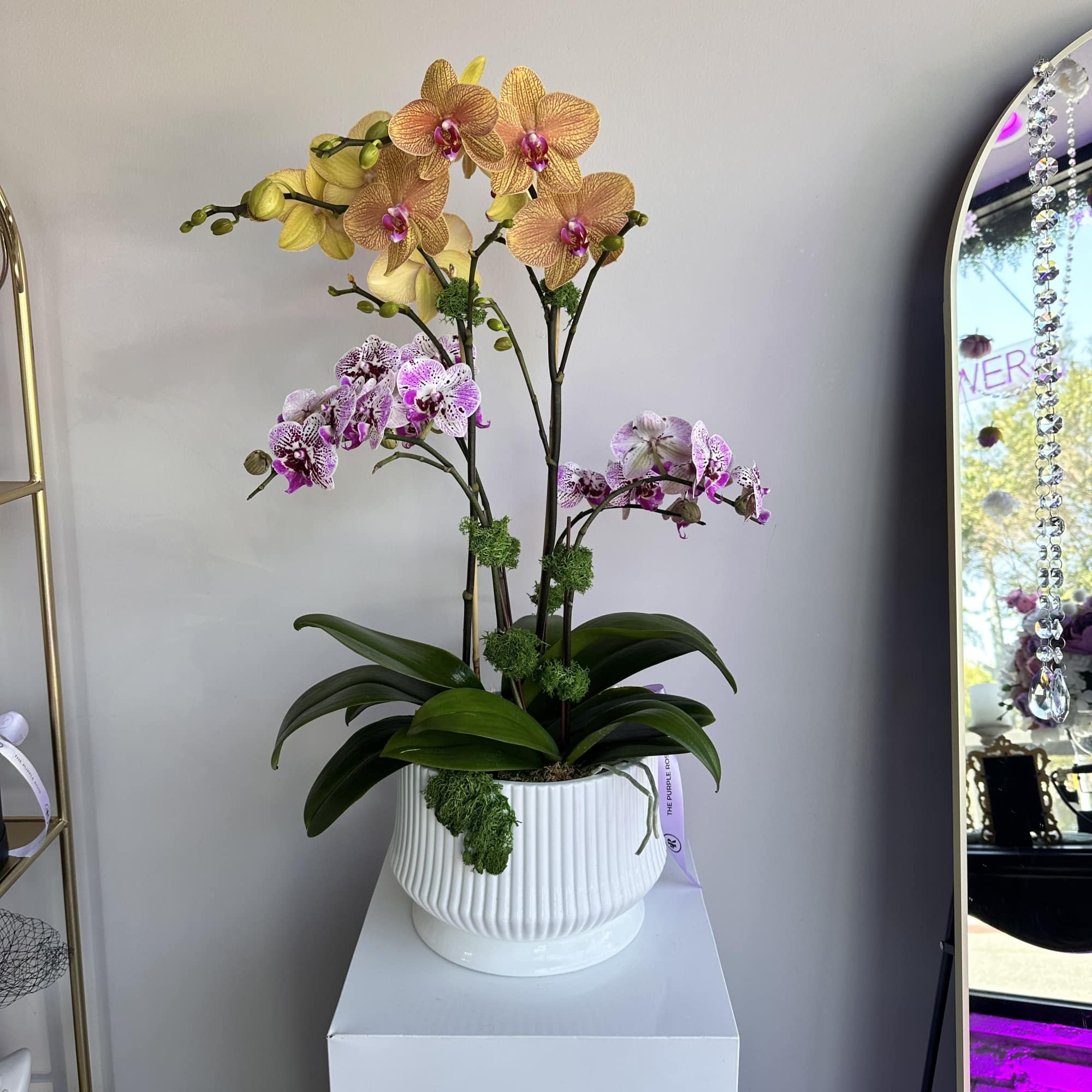 Orchids &ndash; fabulously beautiful composition for the most beautiful congratulations and to