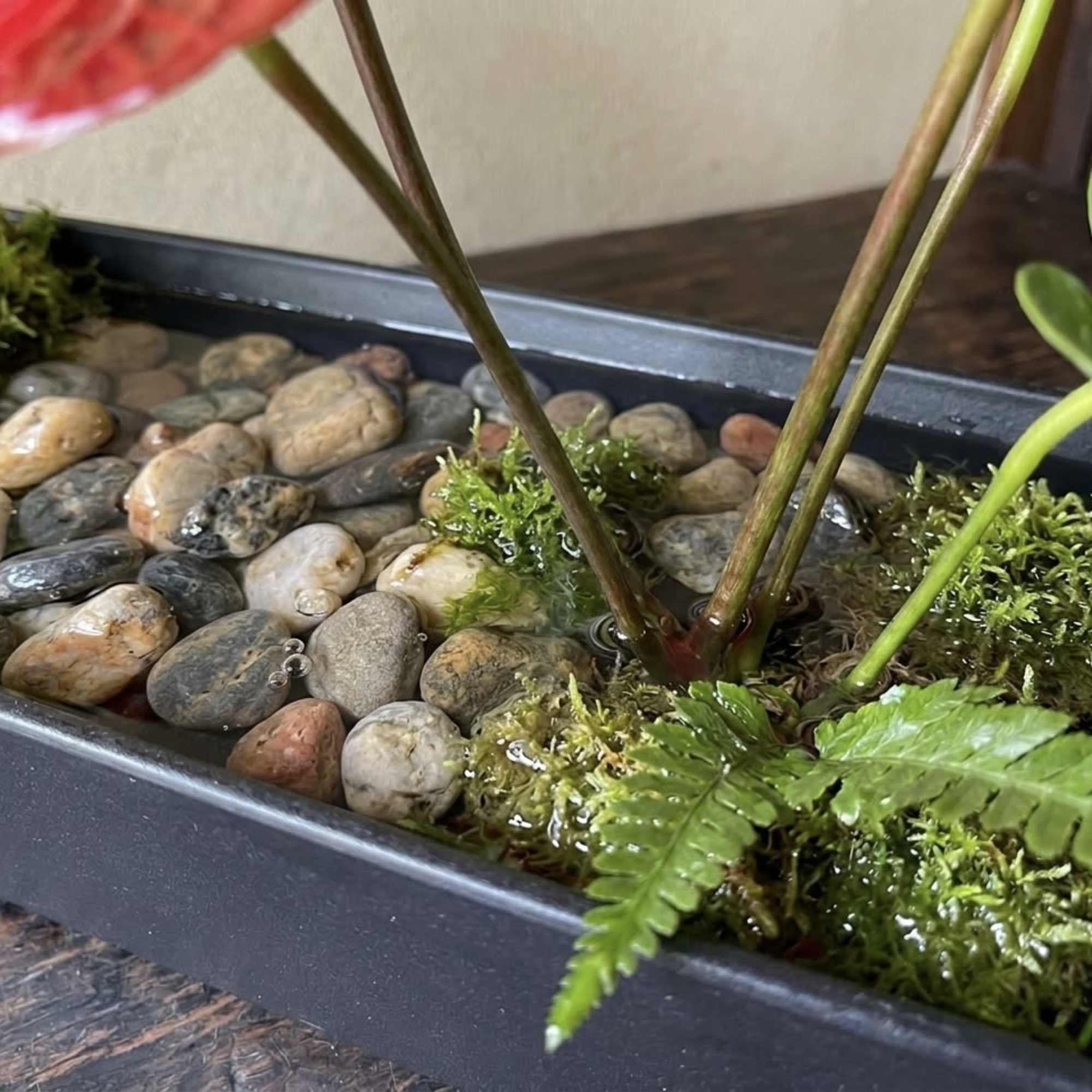 Ikebana 