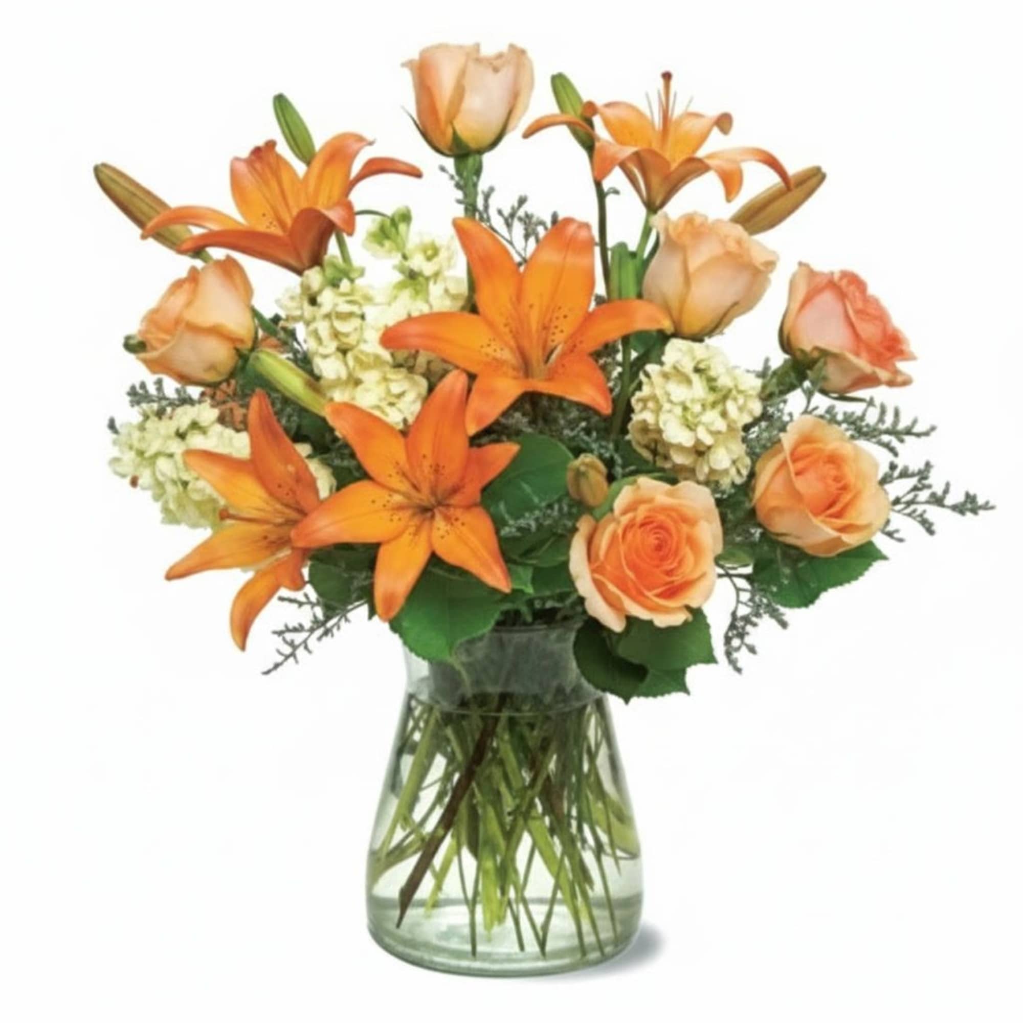  Pet Friendly?
No. Asiatic lilies are known to be toxic to cats