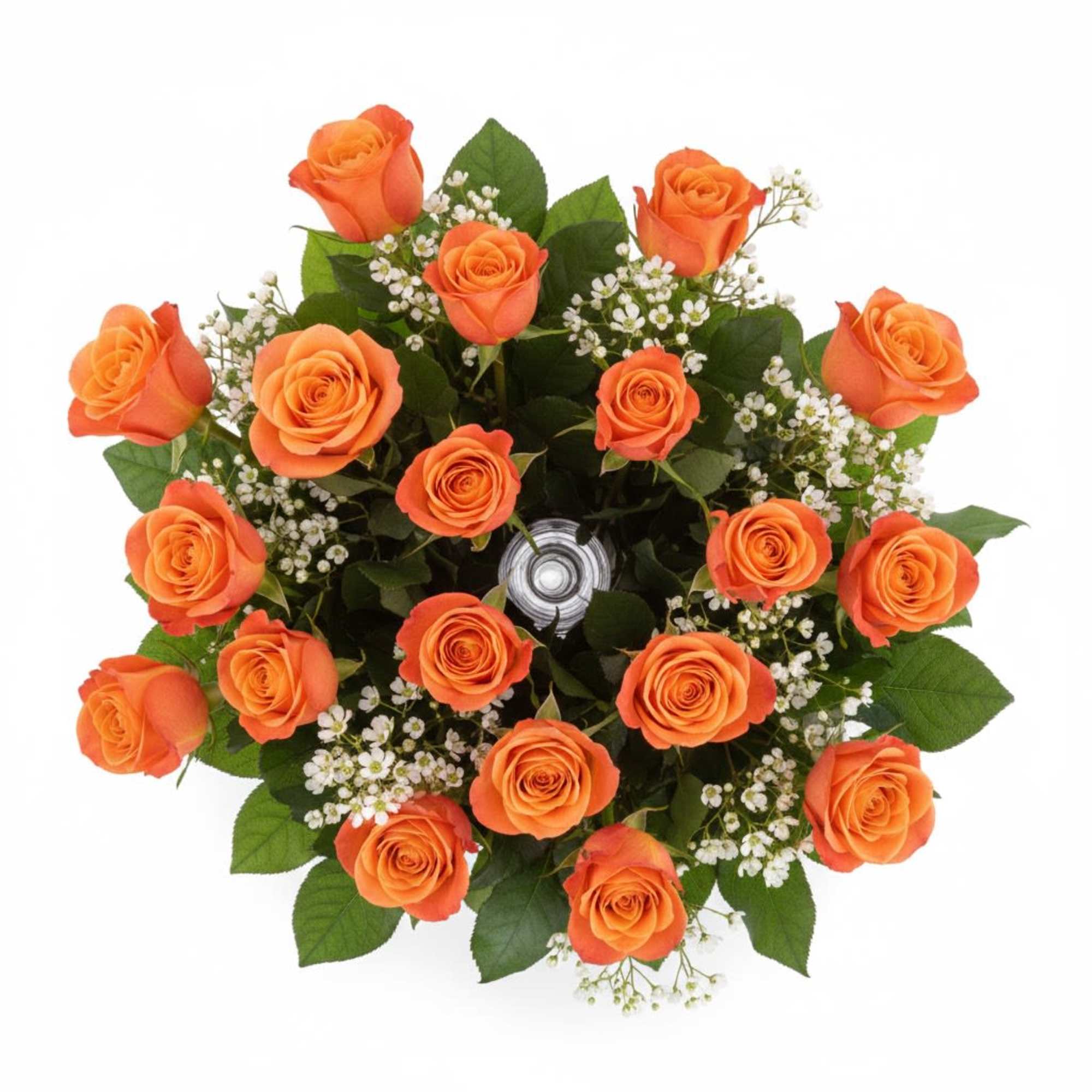  Pet Friendly?
Yes . Roses are considered non-toxic to cats and dogs