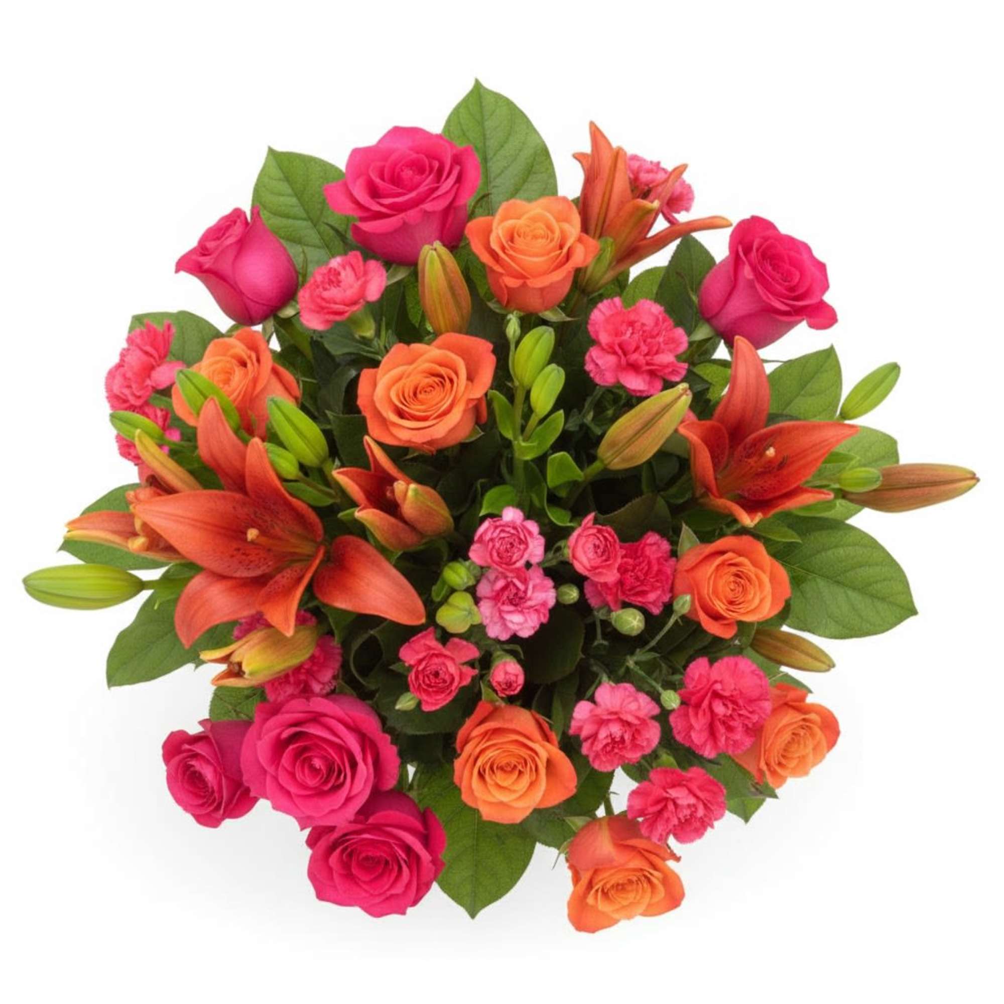 Pet Friendly?
No - This arrangement contains Lilies and Eucalyptus, which are