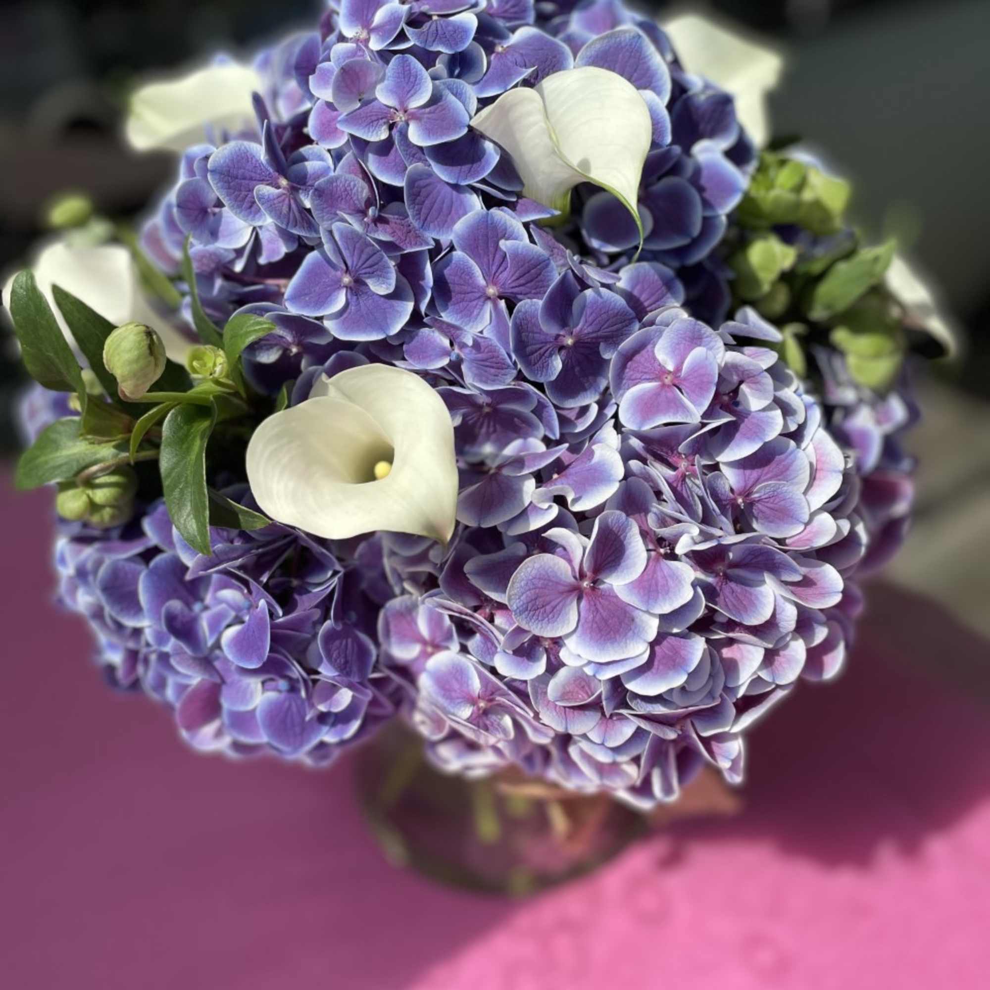 This special arrangement is made from the finest Dutch Bi-Colored Hydrangea, accented