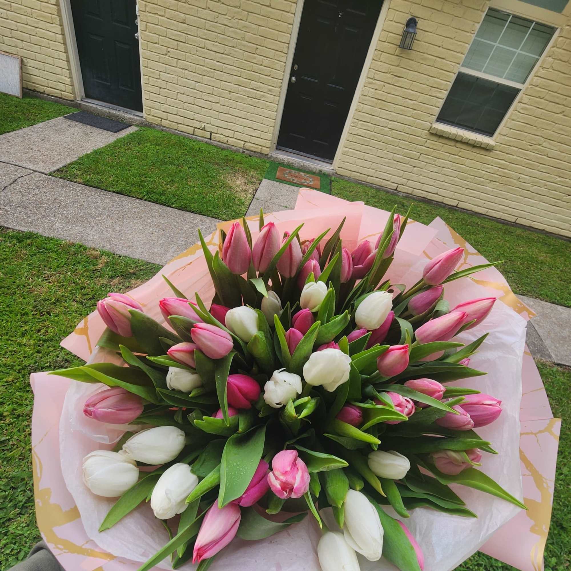 Forty-five assorted tulips.