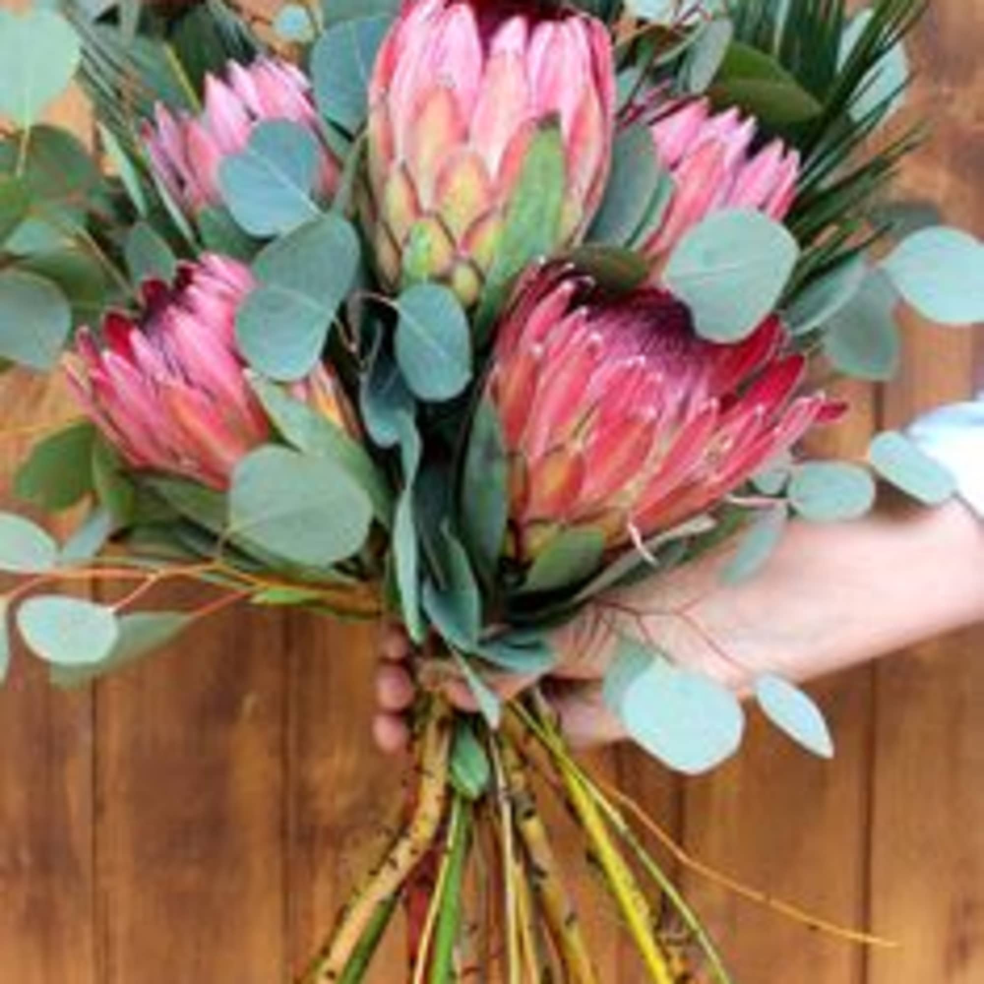 Luxurious mixed Protea bouquet These exquisite long lasting bouquets are designed for