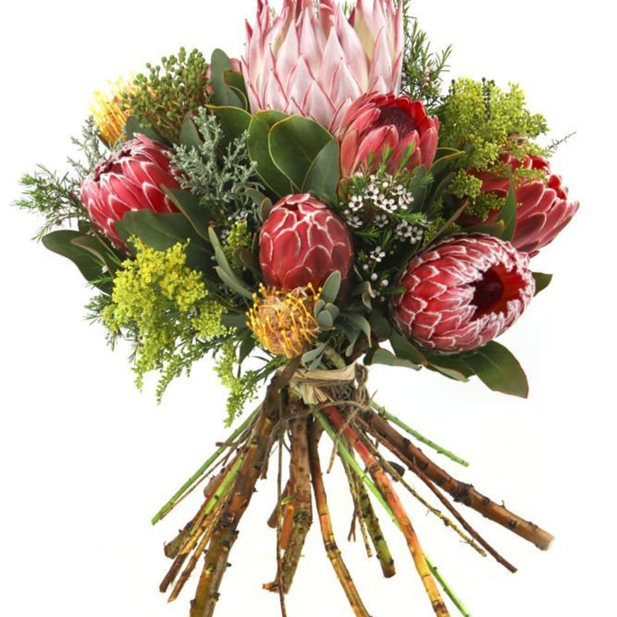 Luxurious mixed Protea bouquet These exquisite long lasting bouquets are designed for