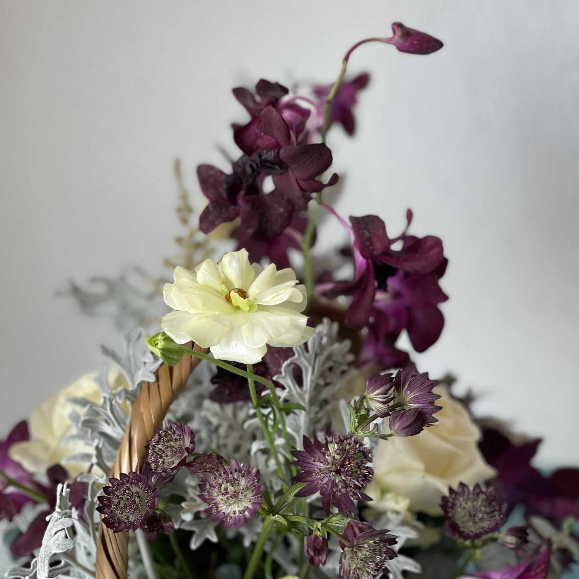 Dark purples, partnered with cream and white blooms. This exotic twist play