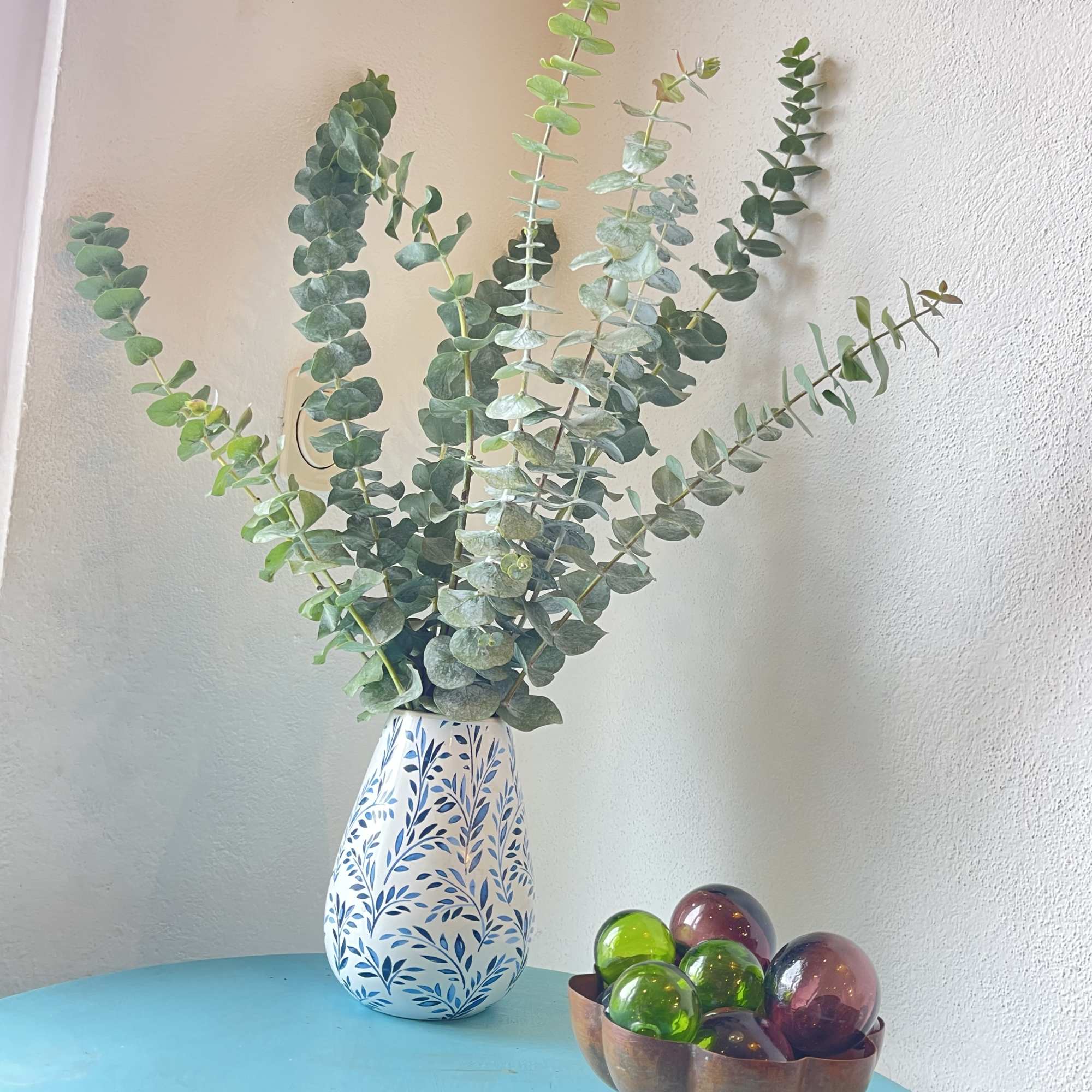 A large bunch of eucalyptus in a vase