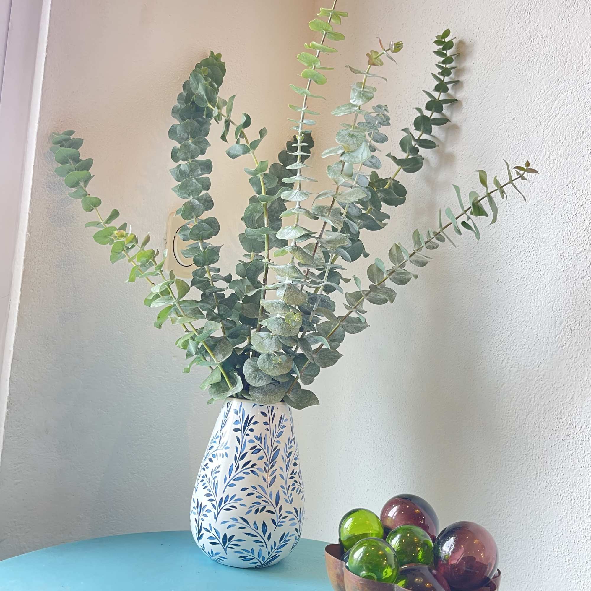 A large bunch of eucalyptus in a vase