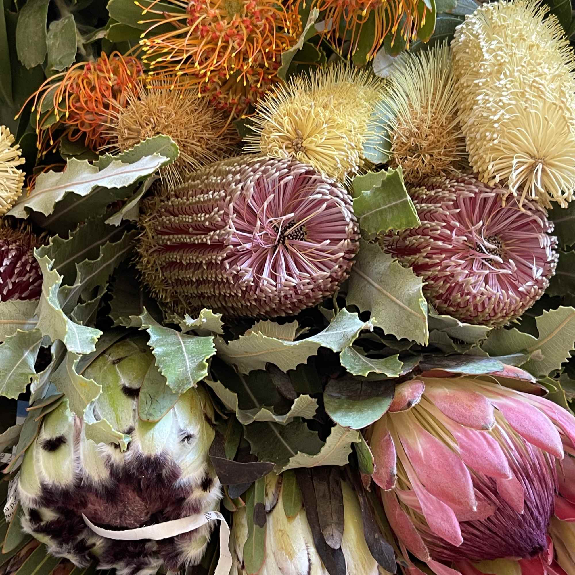 Fresh Cut flowers straight from the farm and shipped to your door