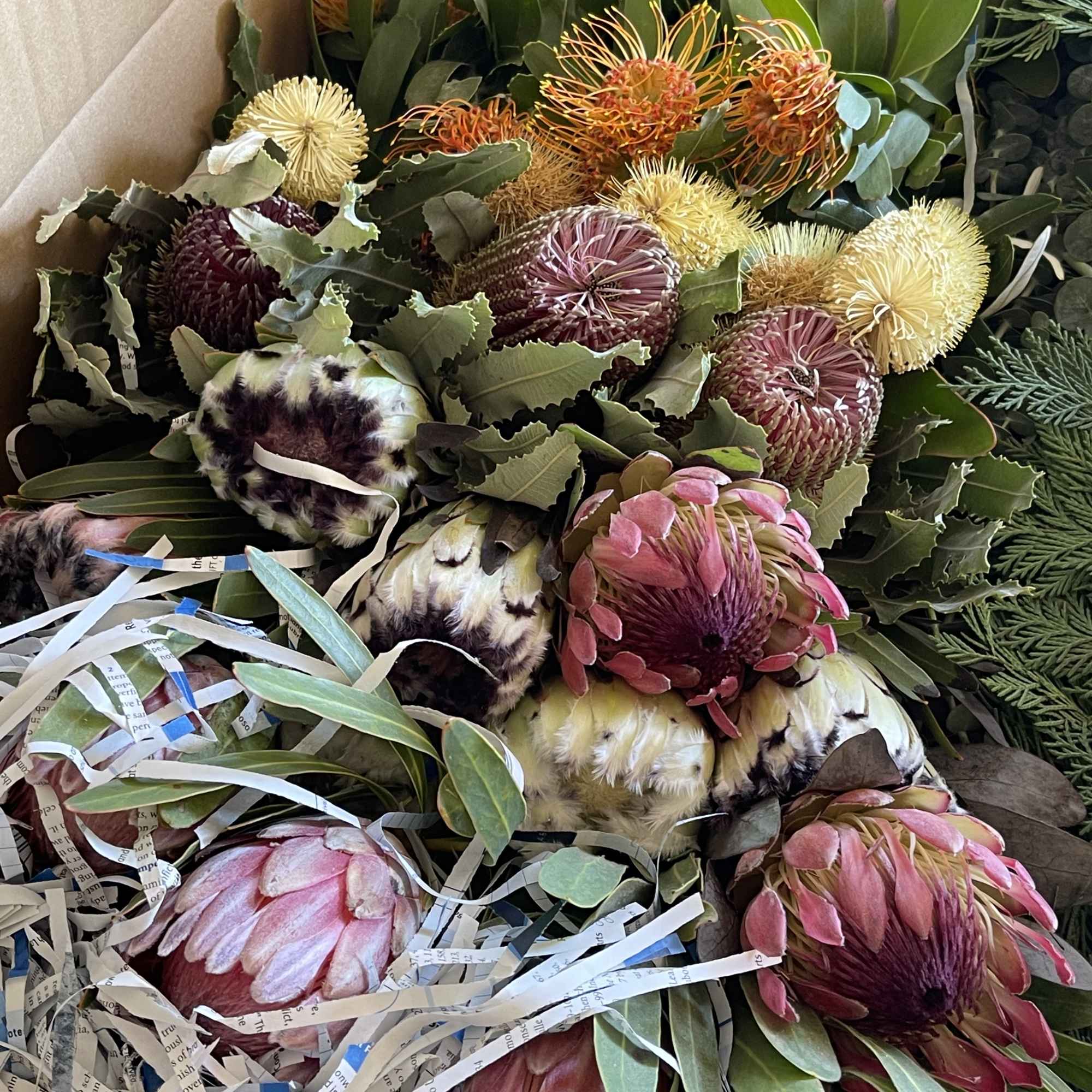 Fresh Cut flowers straight from the farm and shipped to your door