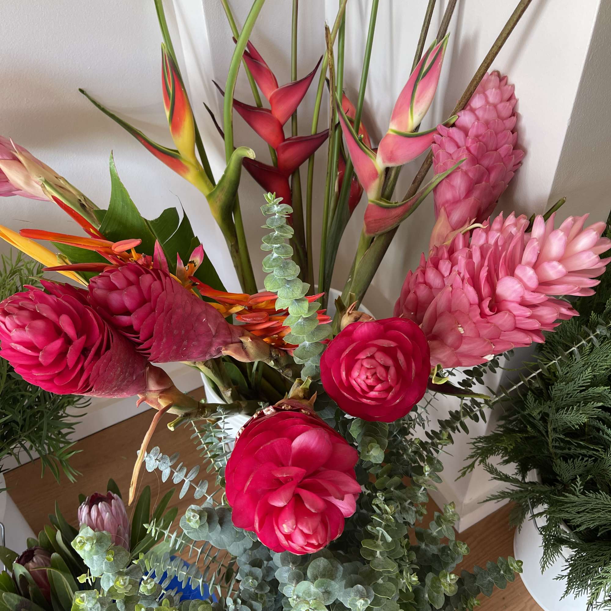 Fresh Cut flowers straight from the farm and shipped to your door
