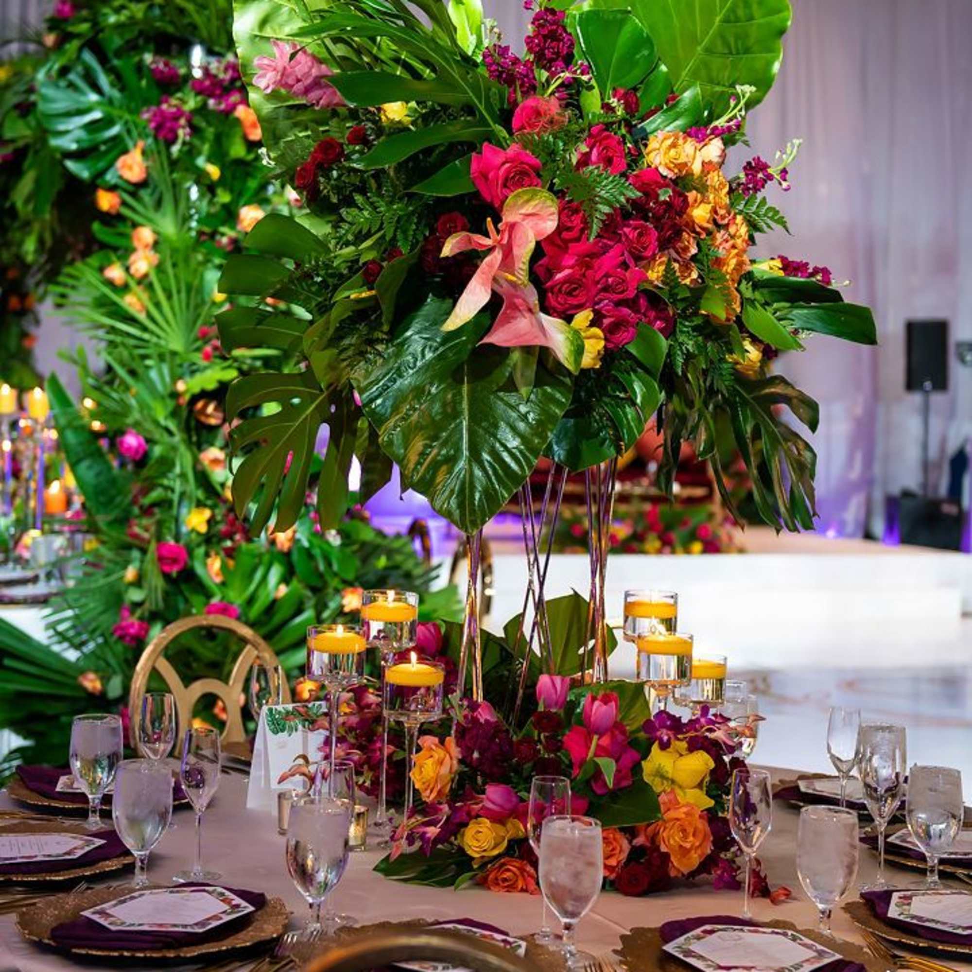 Incredible  exotic Display of  colors  And elegance  This