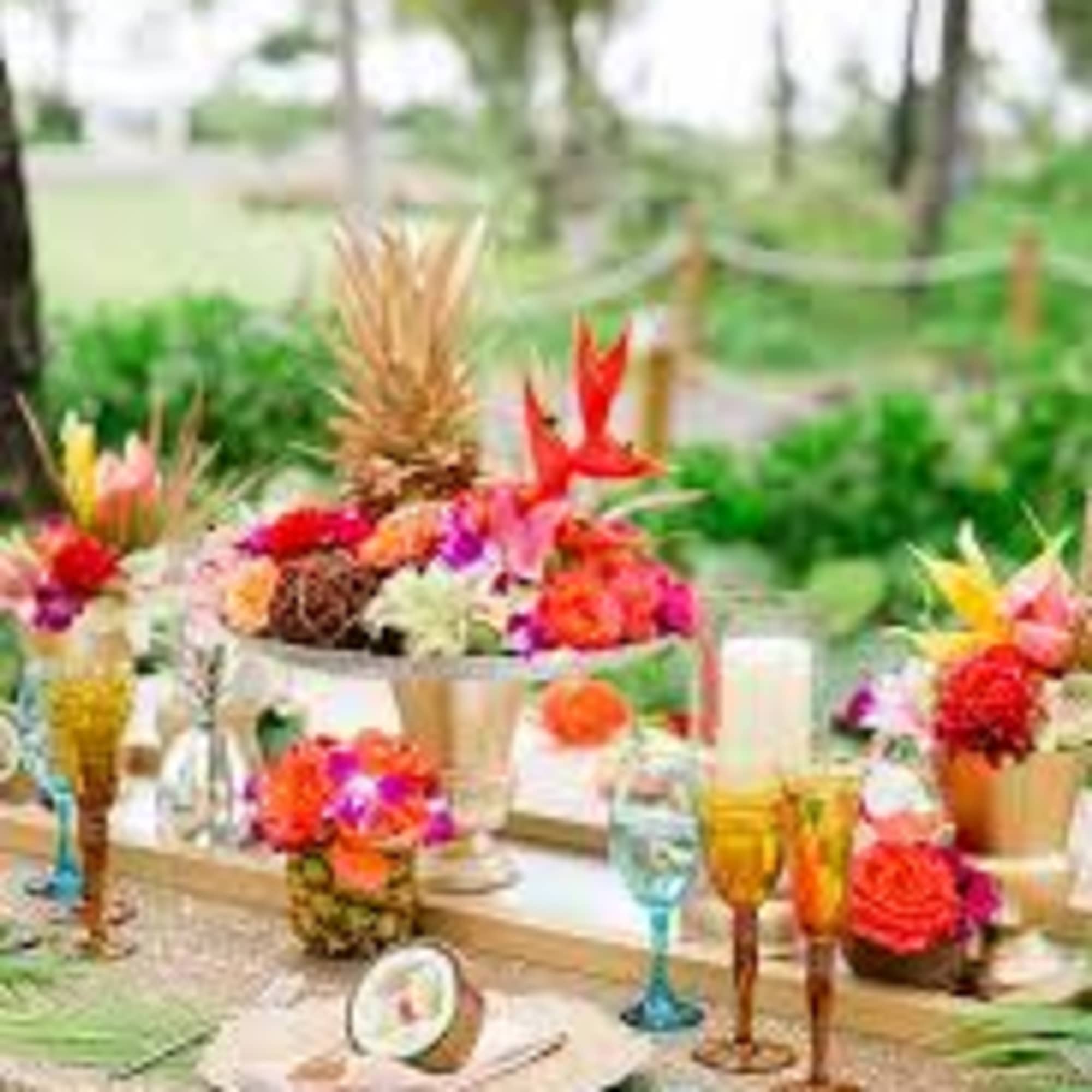 Incredible  exotic Display of  colors  And elegance  This