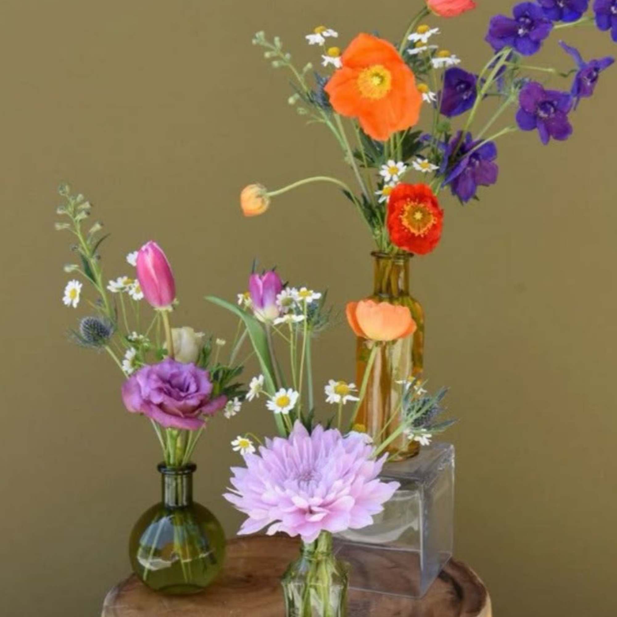 A Nice mix of your choice of color palette this package includes