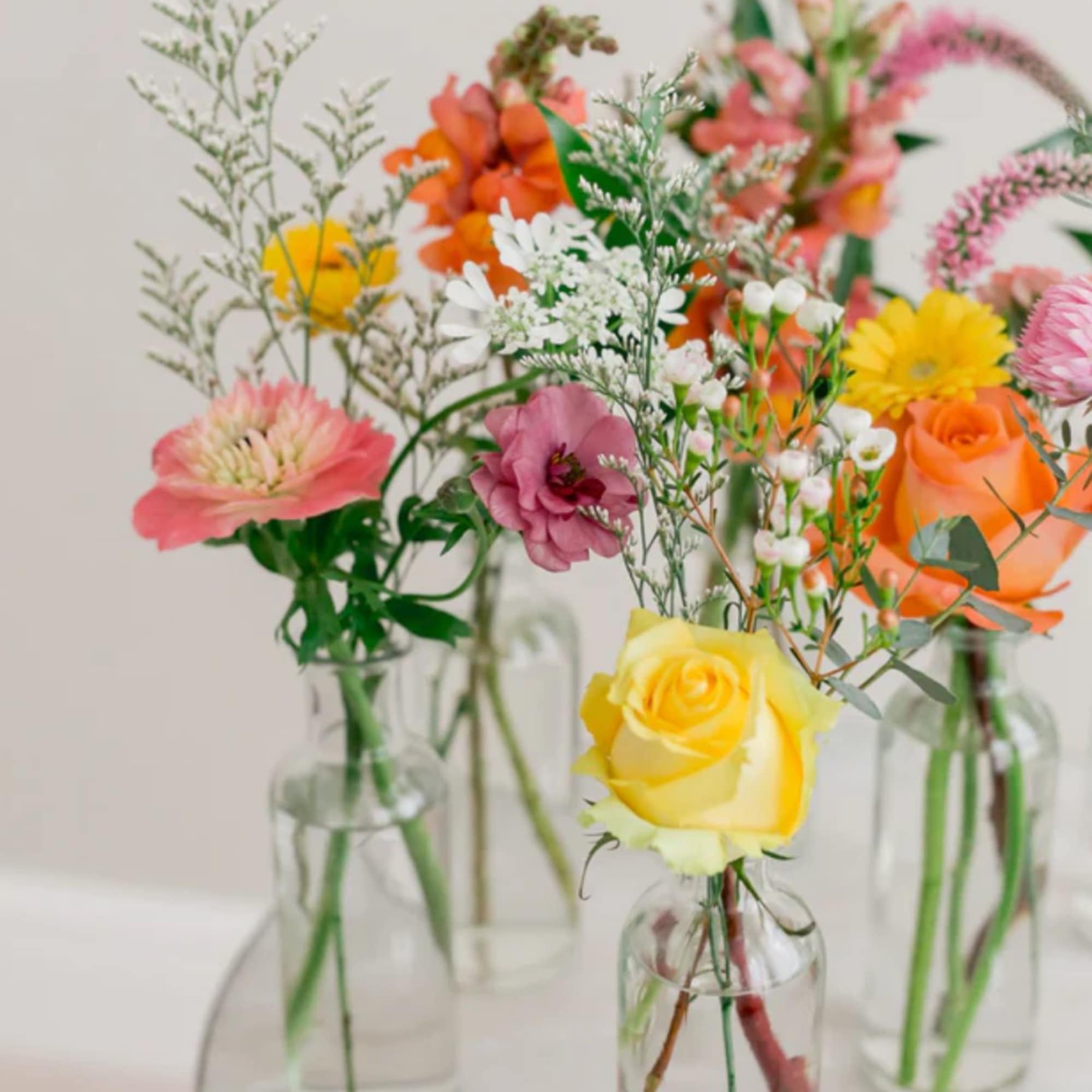 A Nice mix of your choice of color palette this package includes