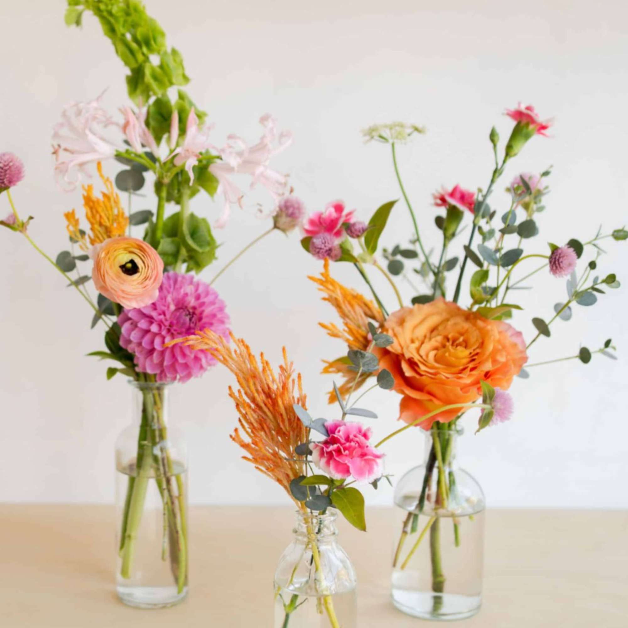 A Nice mix of your choice of color palette this package includes