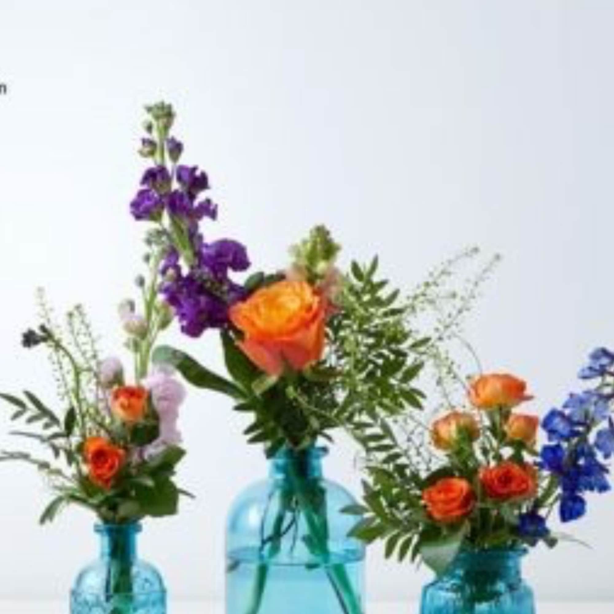 A Nice mix of your choice of color palette this package includes