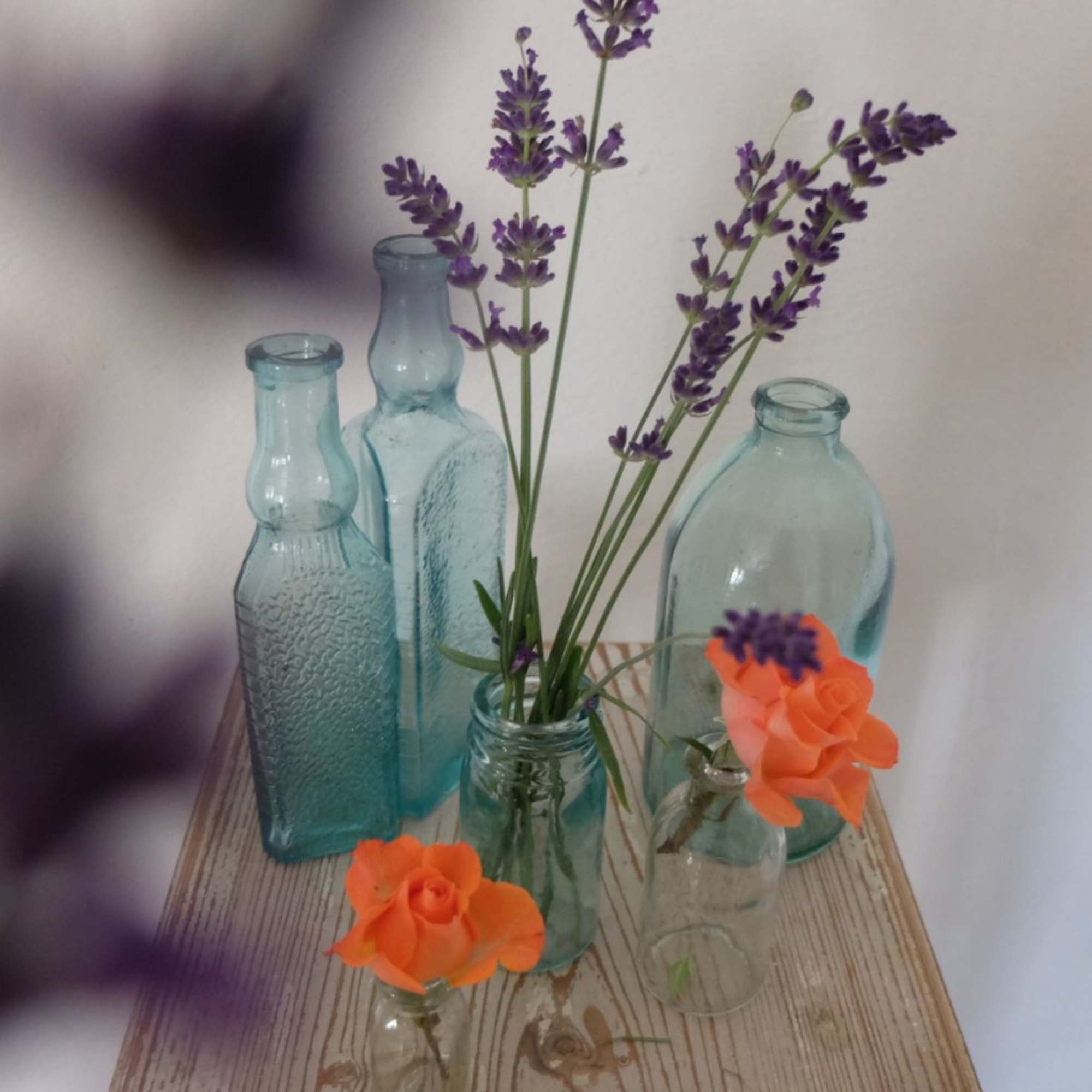 A Nice mix of your choice of color palette this package includes