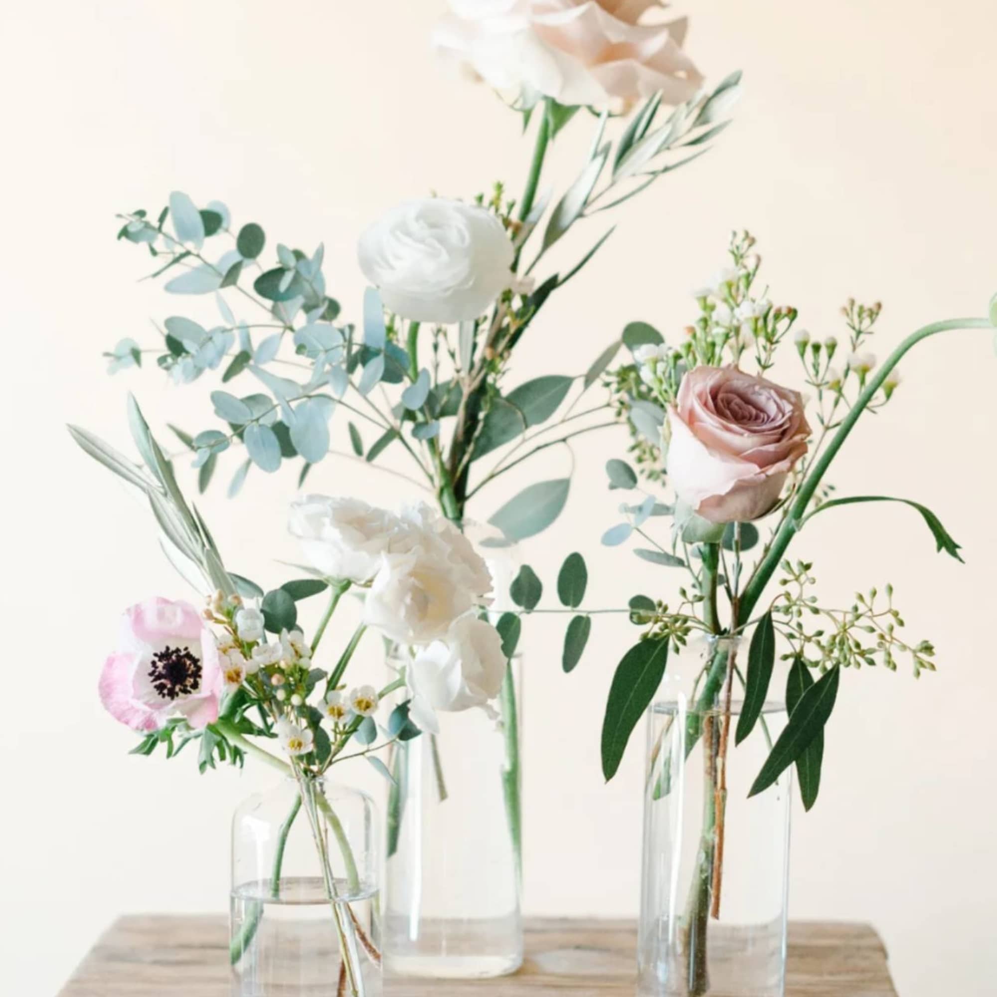 A Nice mix of your choice of color palette this package includes