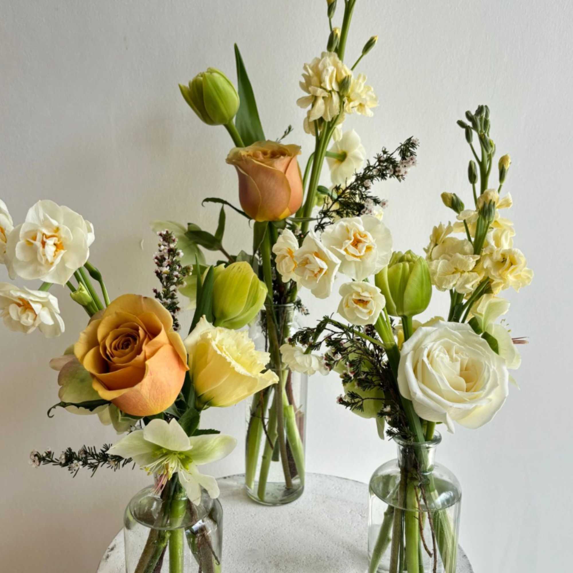 A Nice mix of your choice of color palette this package includes
