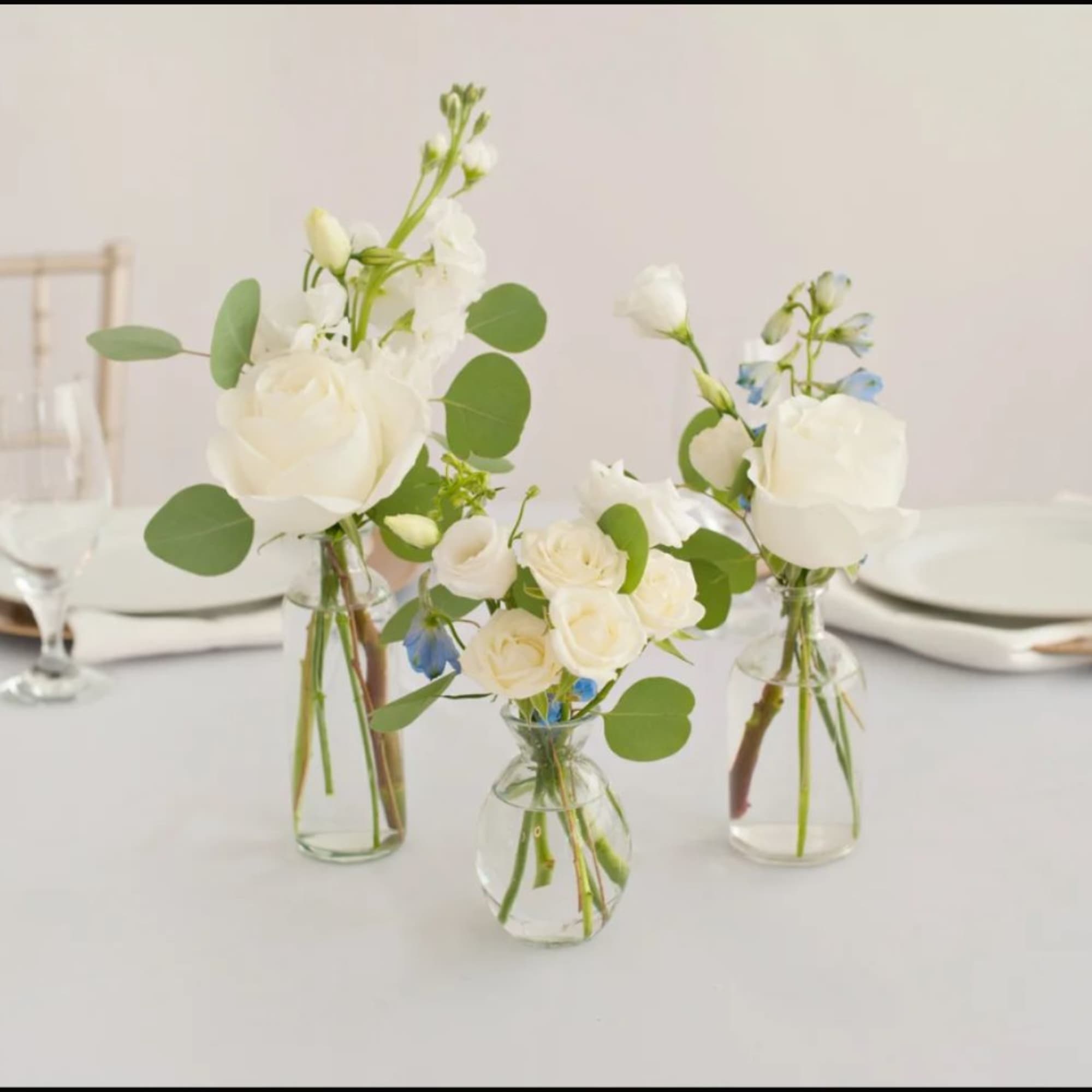 A Nice mix of your choice of color palette this package includes