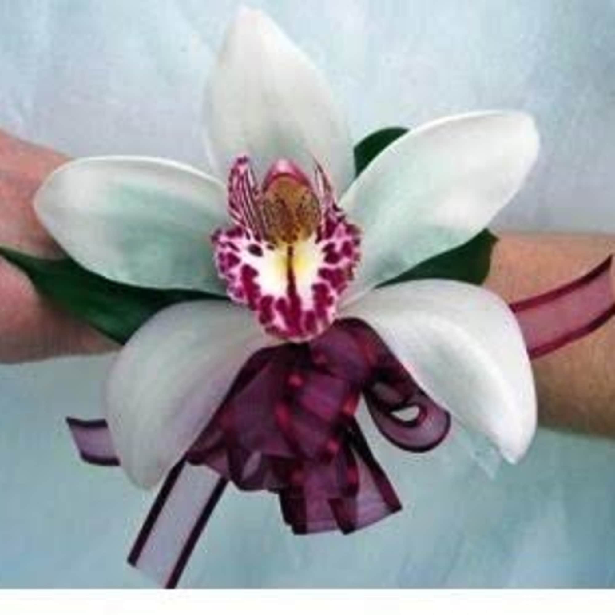 Red and white prom Floral wrist band With haircut With exotic foliage