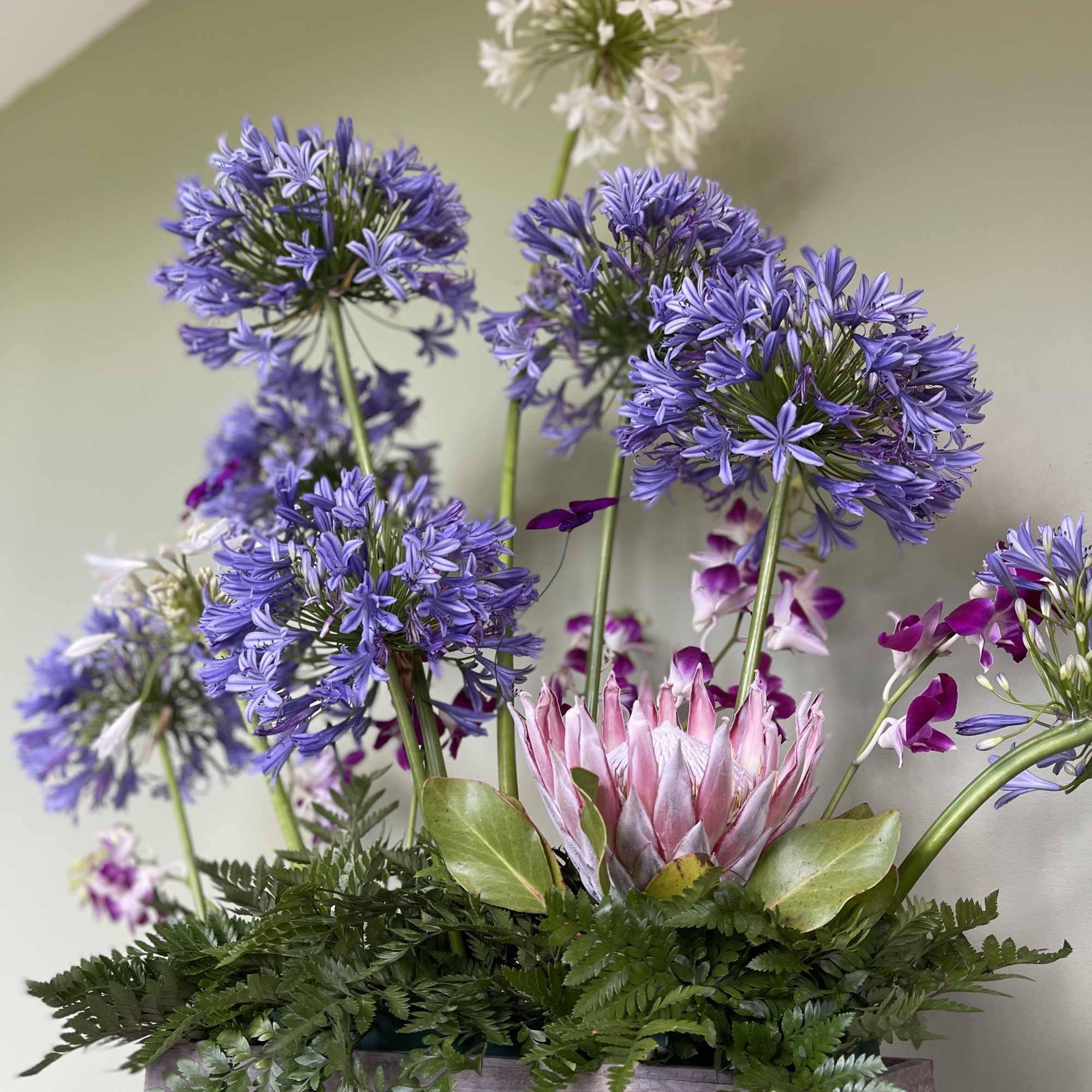 Celebrate the extraordinary women in your life with our Mother's Day Special