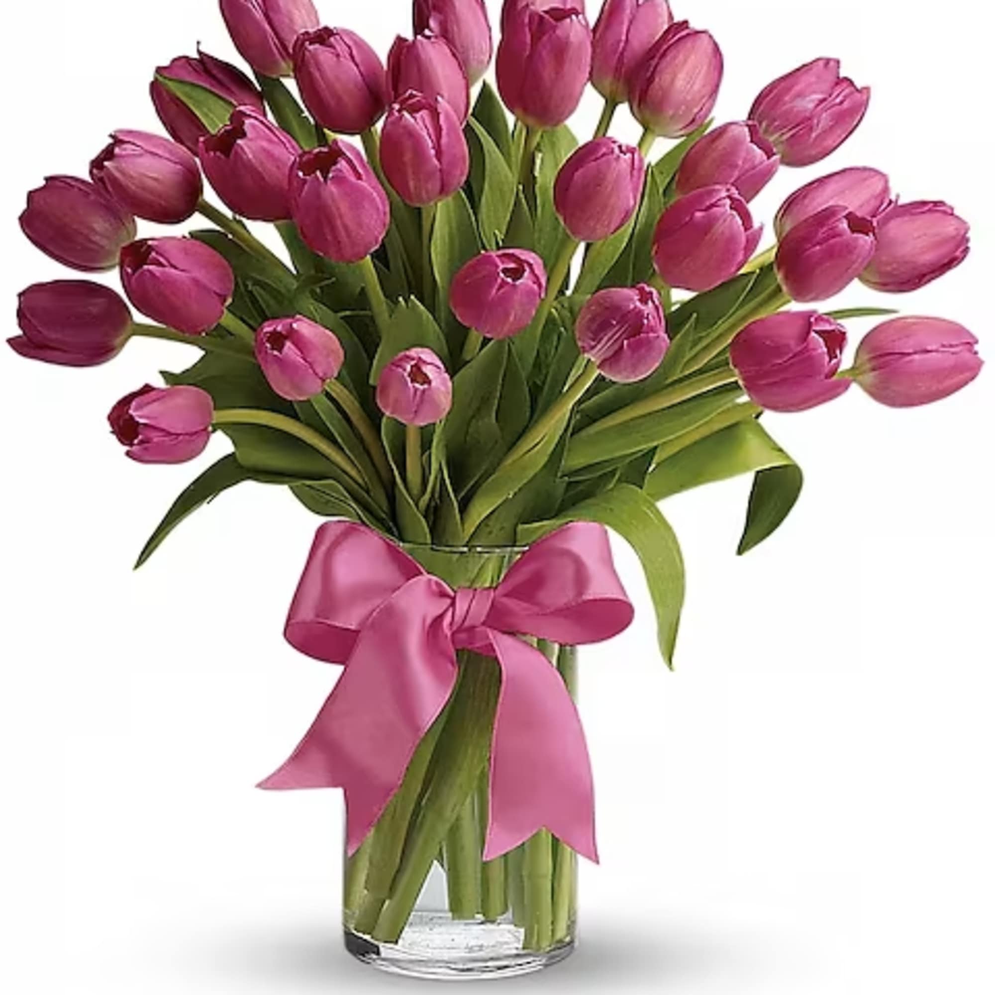Pink tulip bouquet in a clear glass vase with a pink ribbon