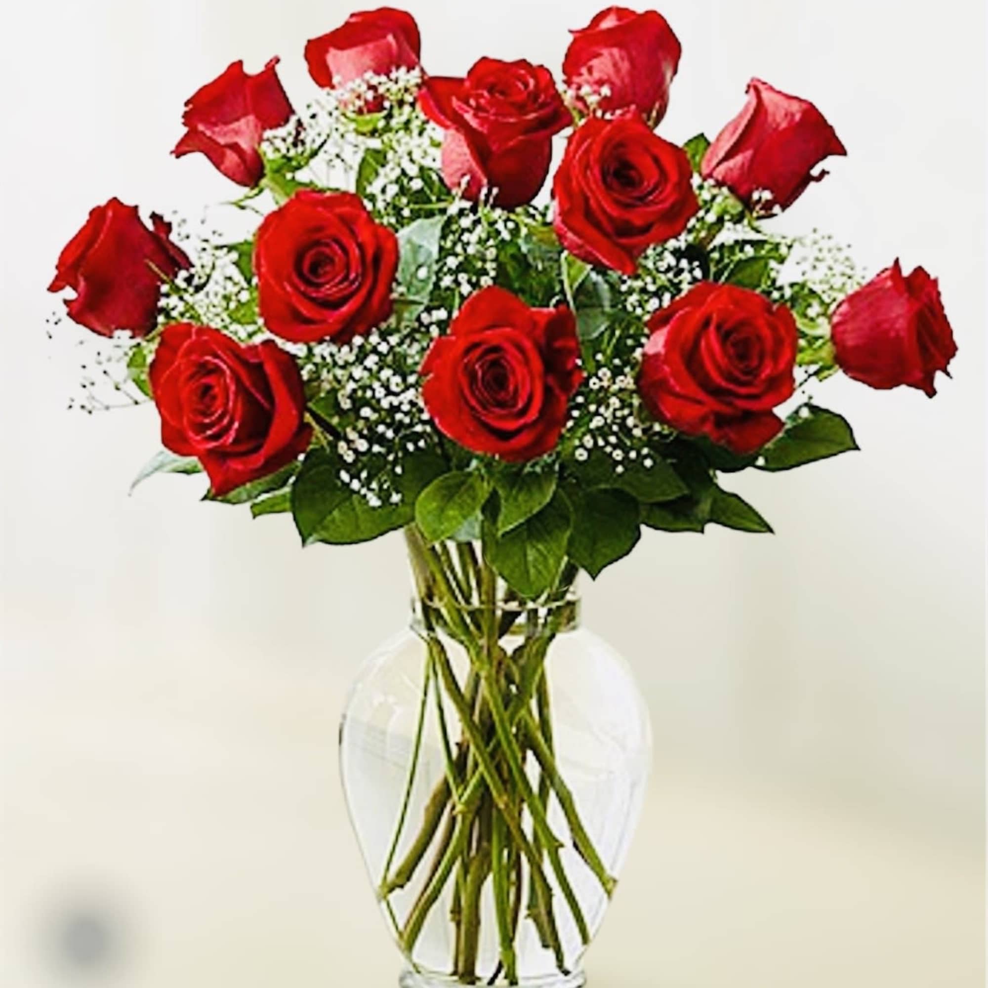 Red roses arranged in a clear glass vase with baby's breath