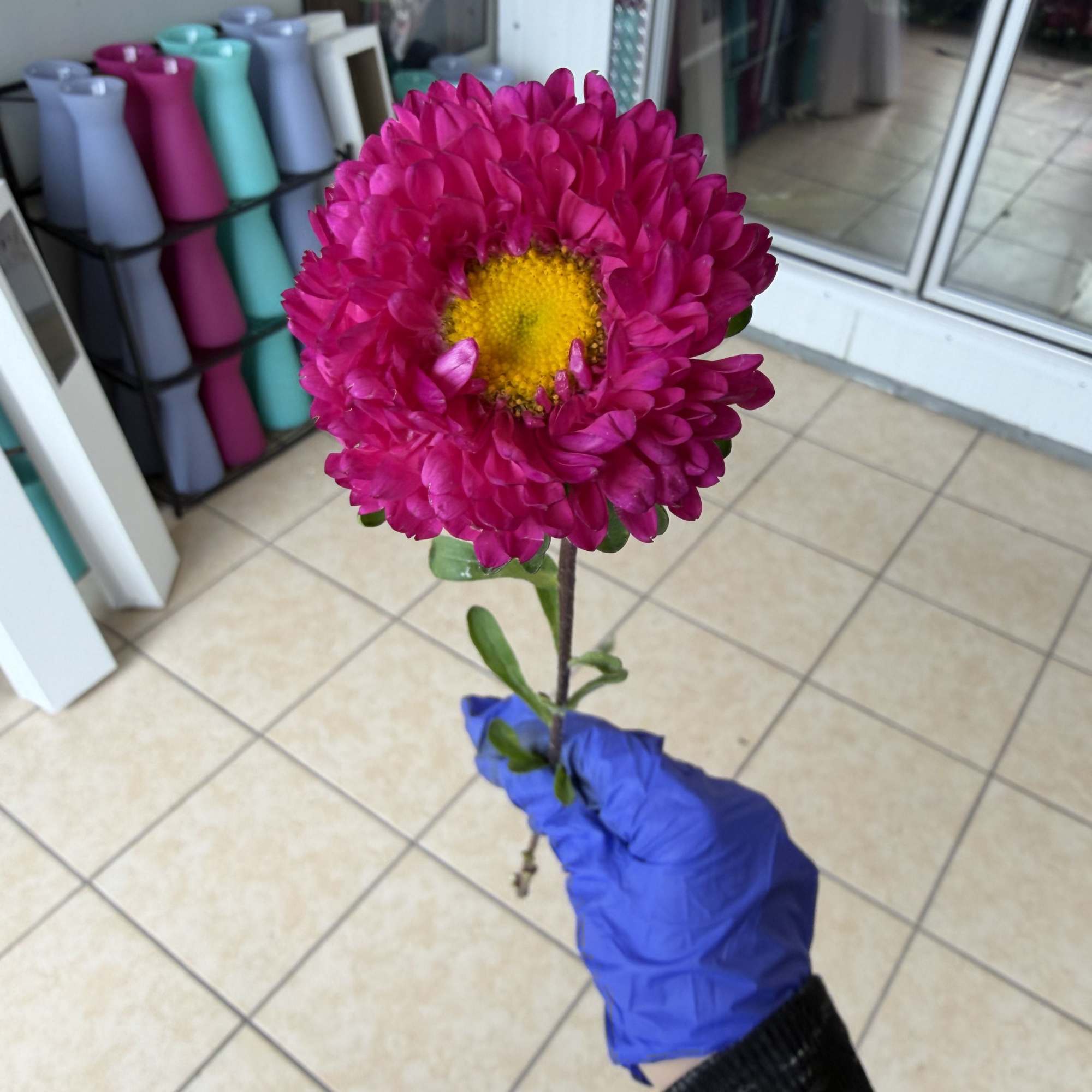 Single stem of matsu. Available in red pink hot pink and white