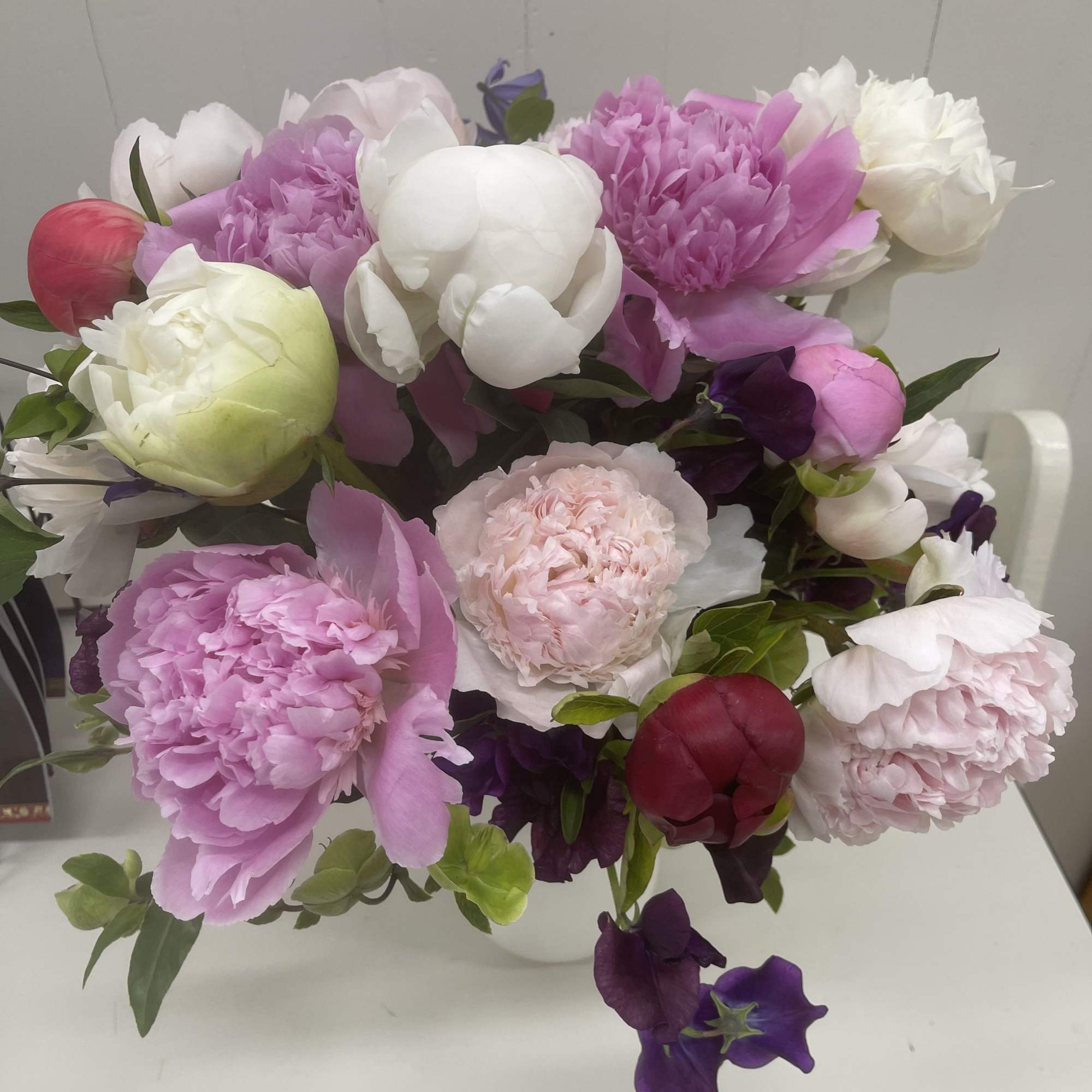 One dozen (12 stems) of peonies in a variety of colors, presented