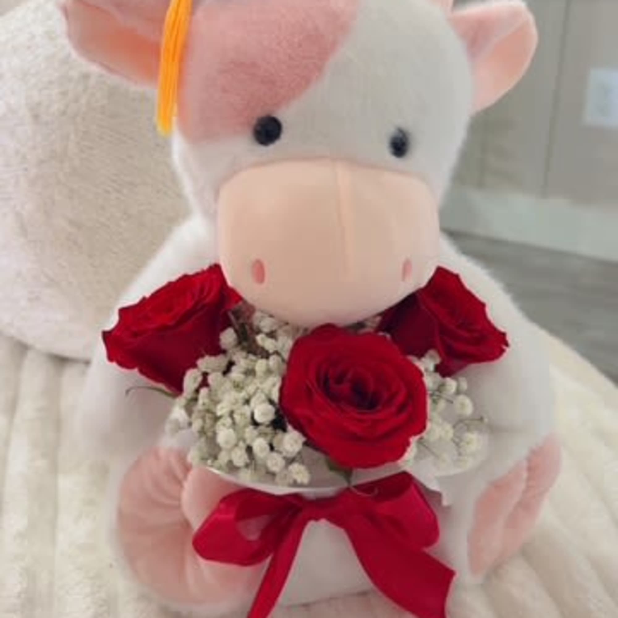 Grad Cow whit red roses! available Midland and Odessa 
