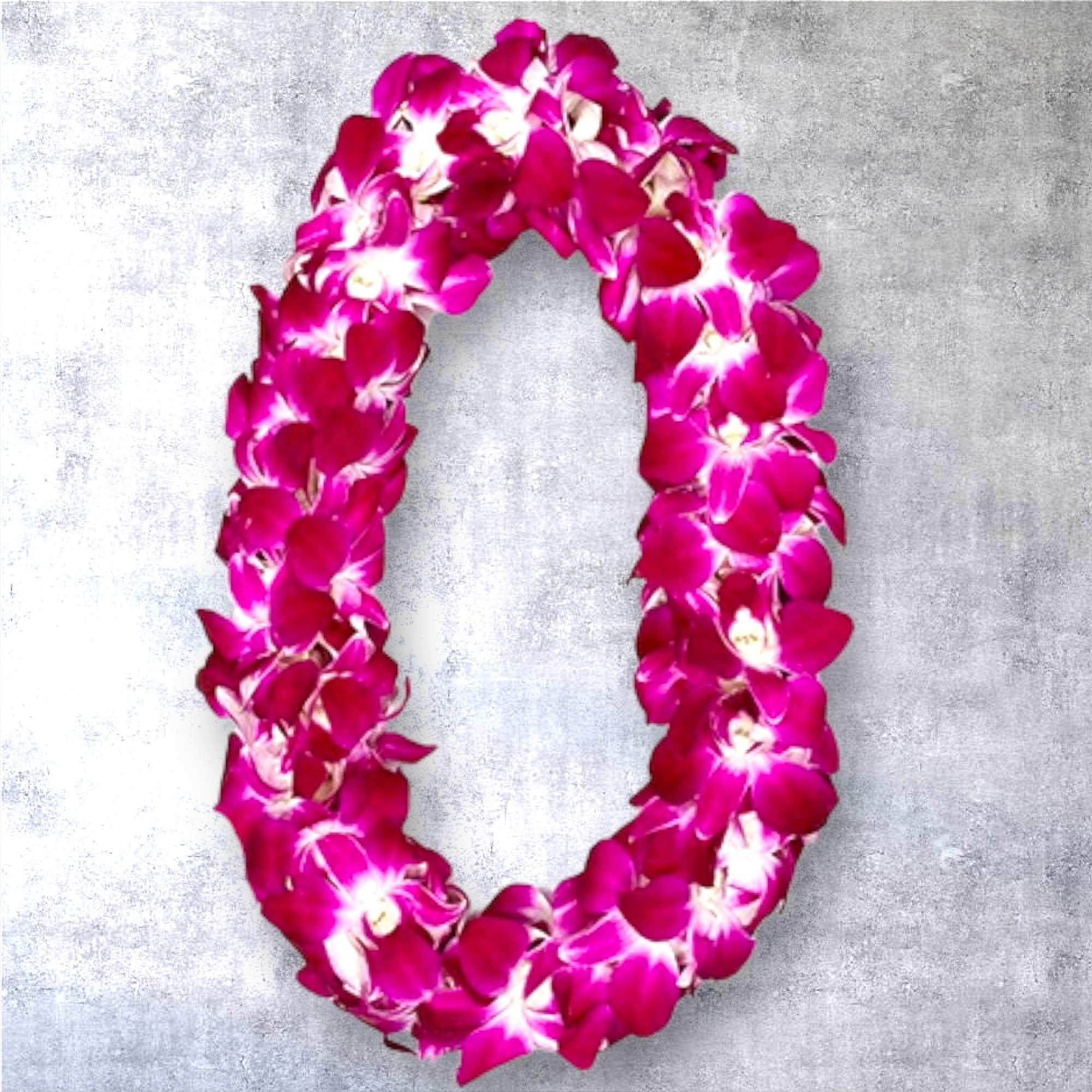 Beautiful double stranded orchid lei gives you over 100+ blooms for fullness