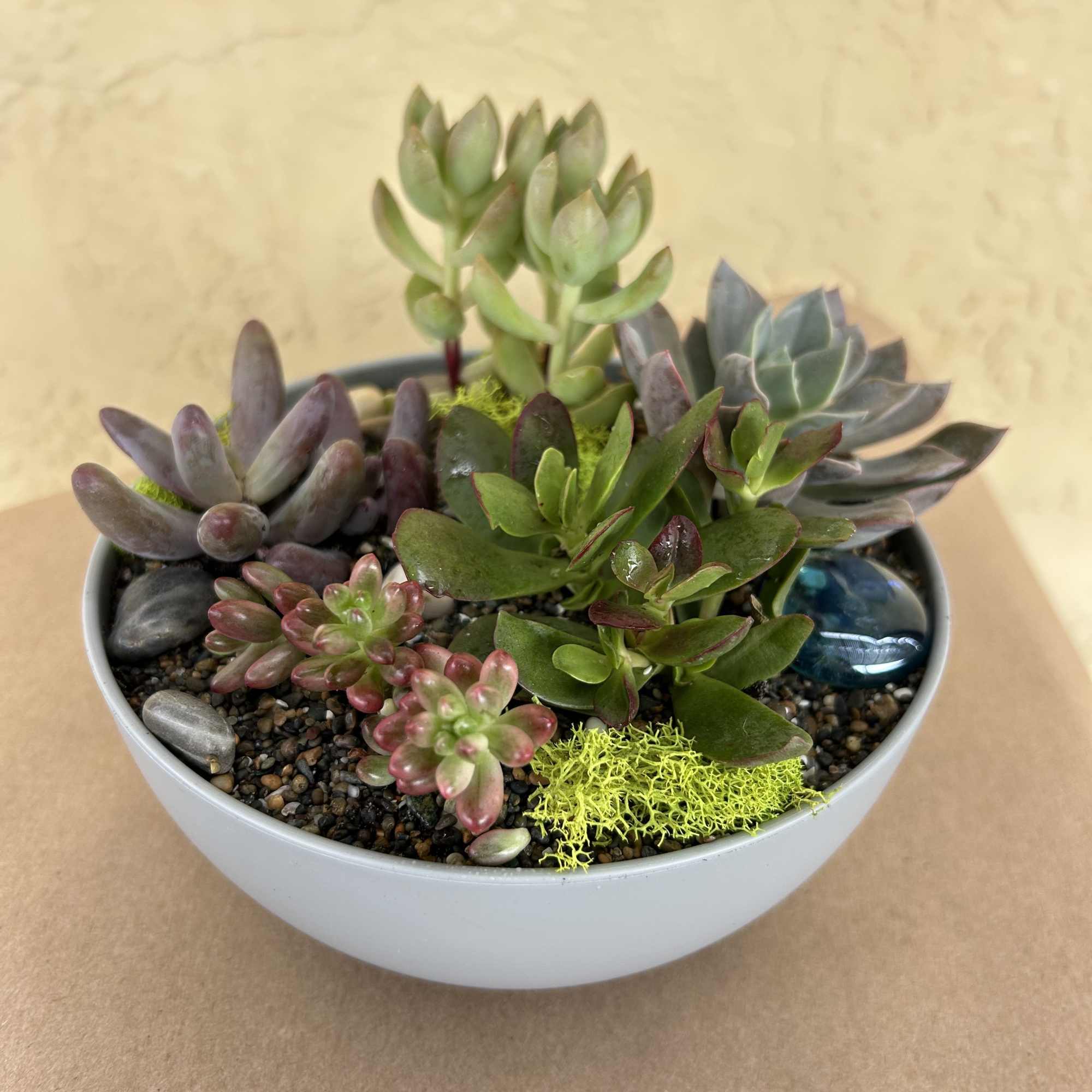 Succulent arrangement in a white bowl planter with decorative stones