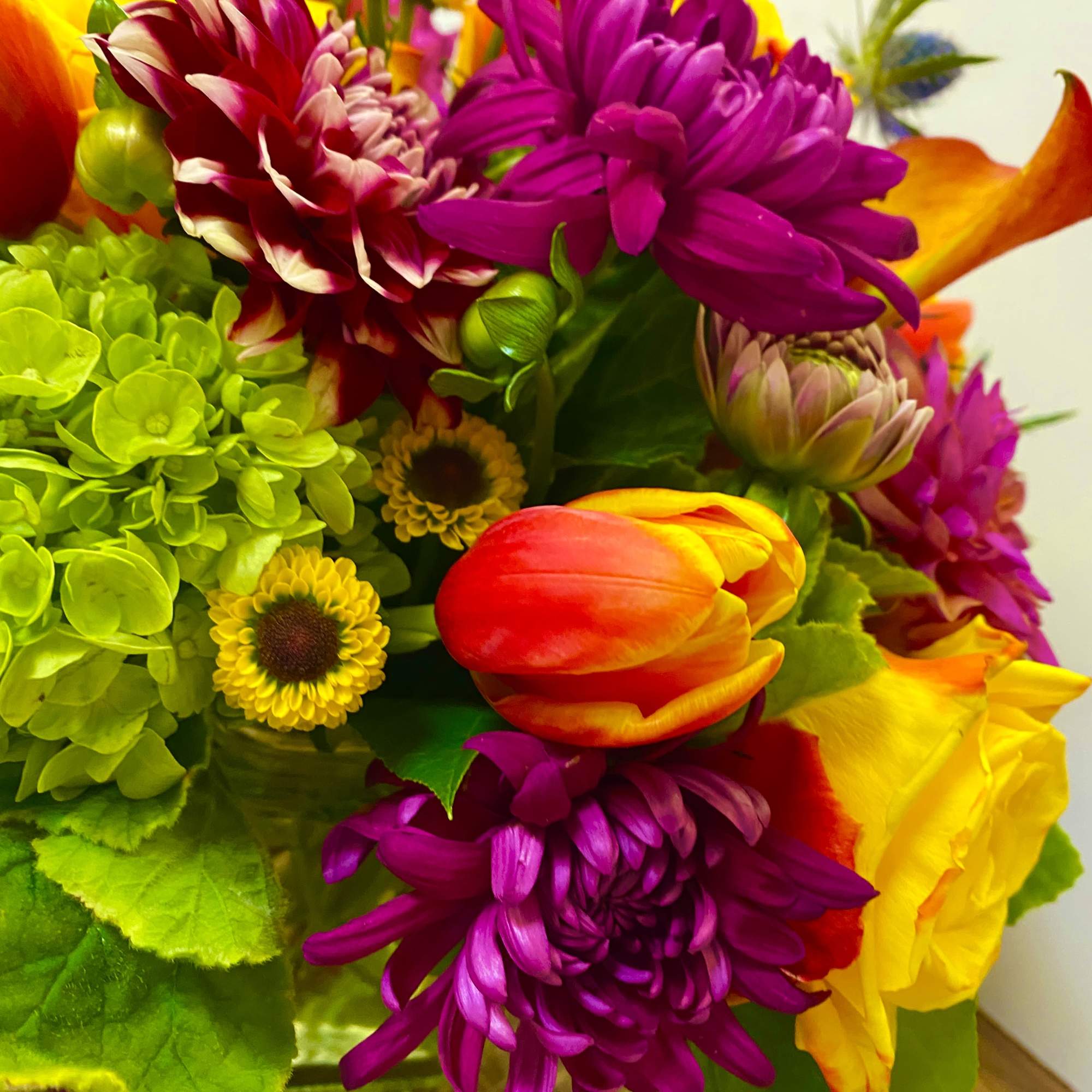 Bright mixed bouquet with tulips, chrysanthemums, and hydrangeas