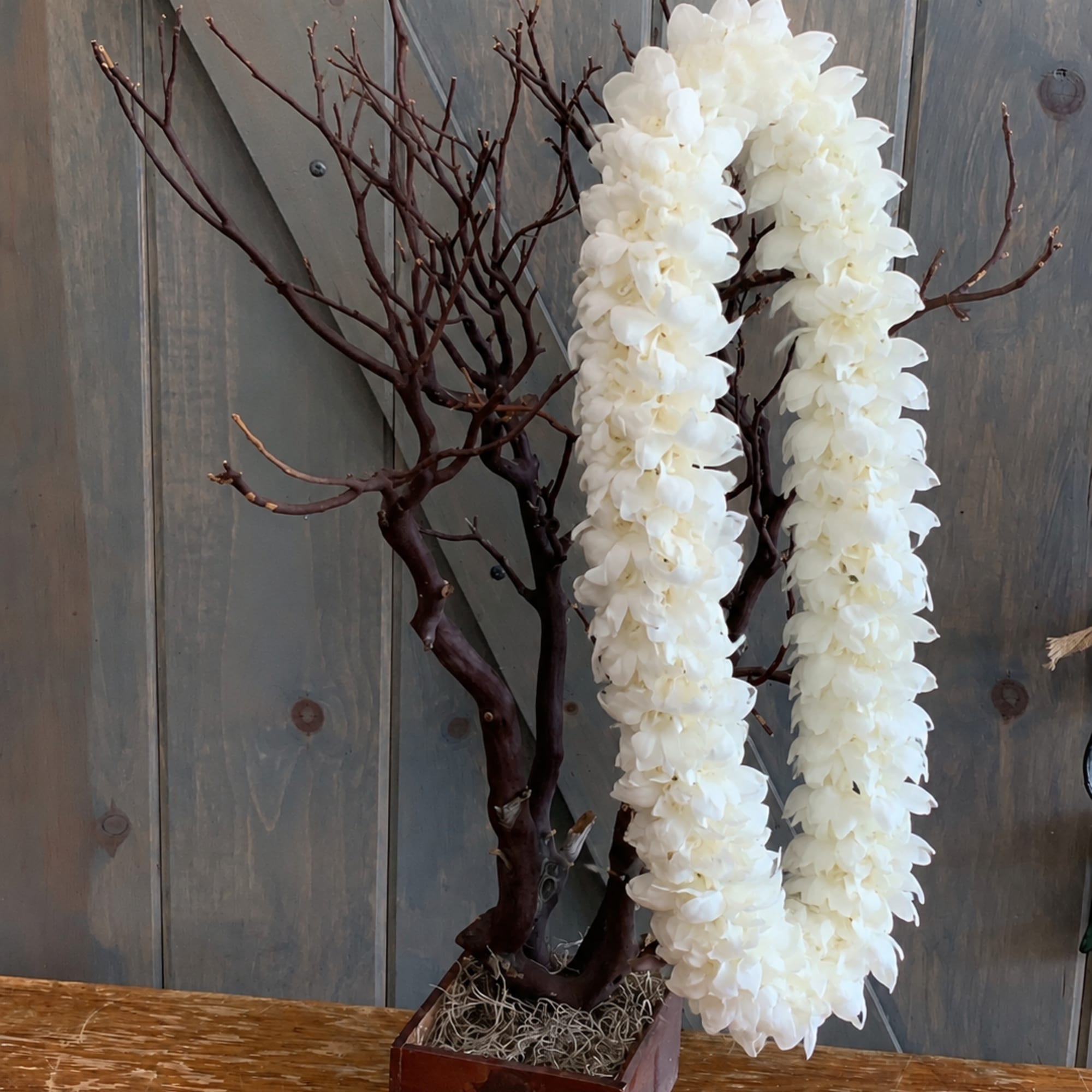 ***PLEASE SPECIFY WHICH COLOR LEI YOU WANT IN THE SPECIAL INSTRUCTIONS***
.
.
.
These orchid