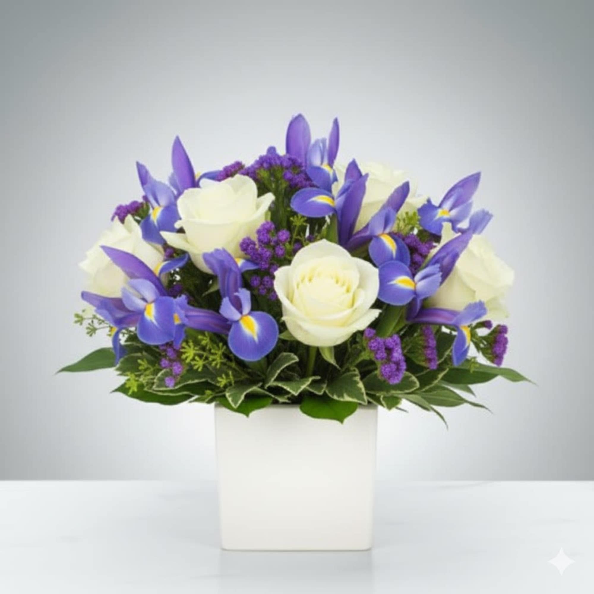  Pet Friendly?
No &ndash; Iris can be irritating or toxic if chewed