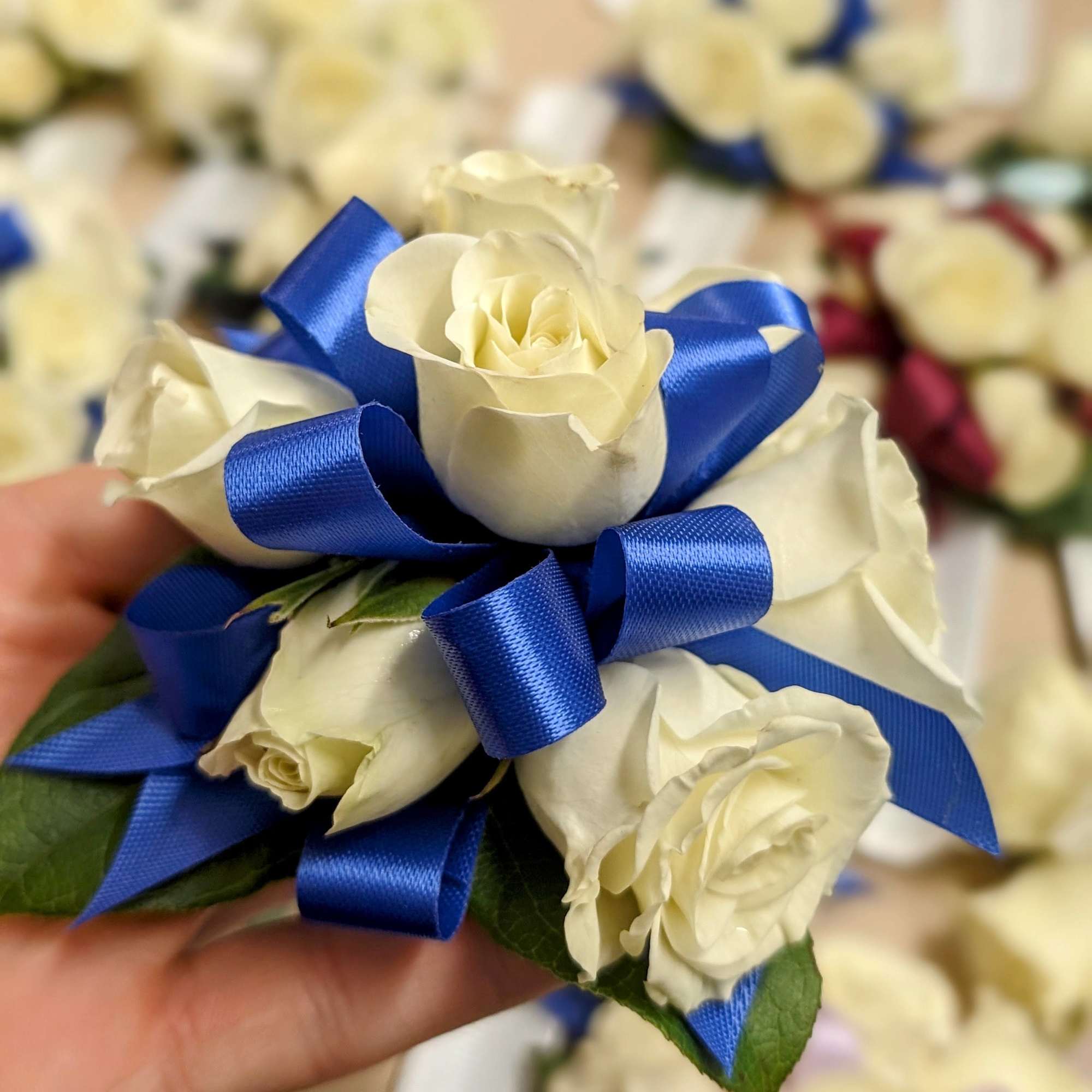 Tight cluster of white roses with ribbon color accent on a snap