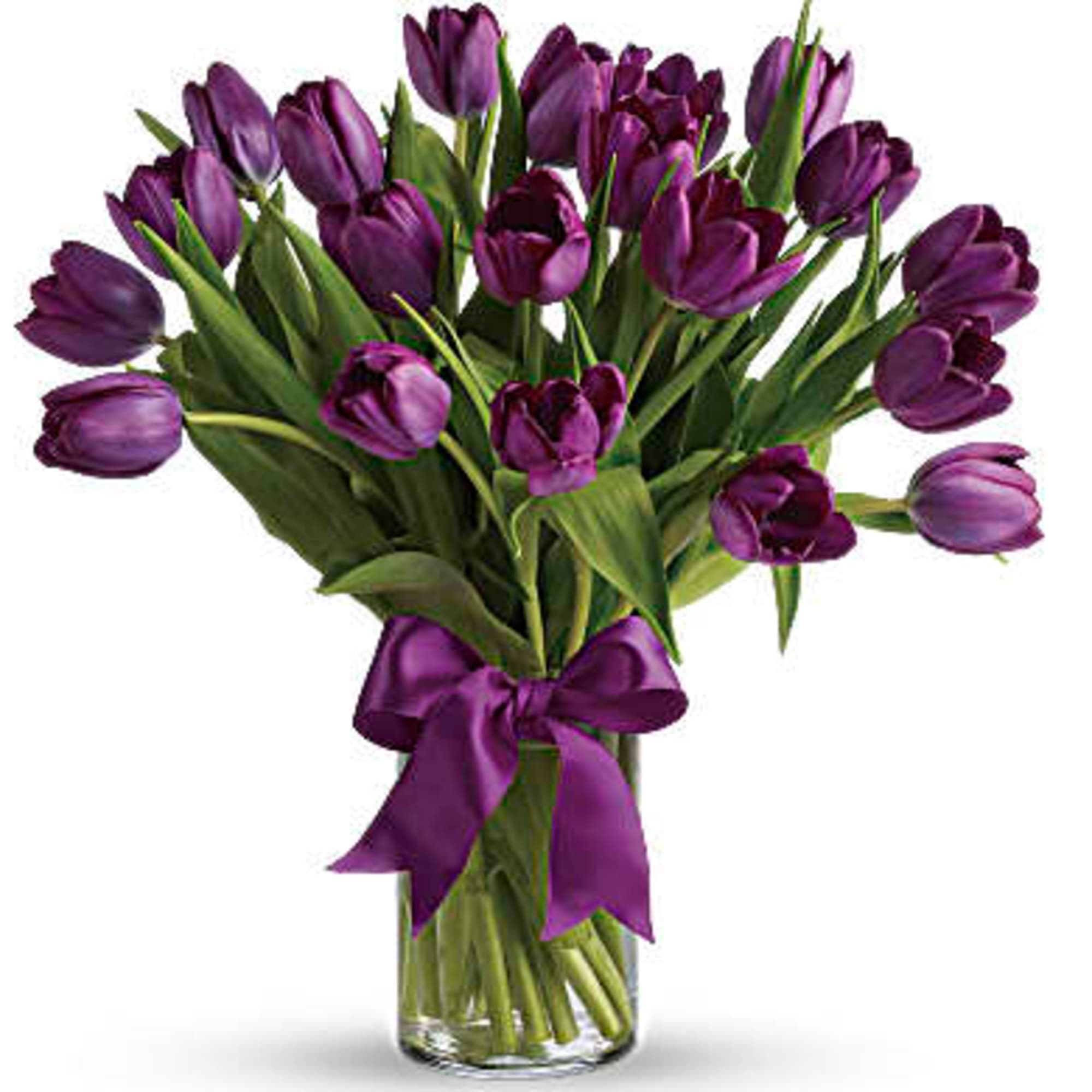 Purple tulip bouquet tied with a satin ribbon in a glass vase
