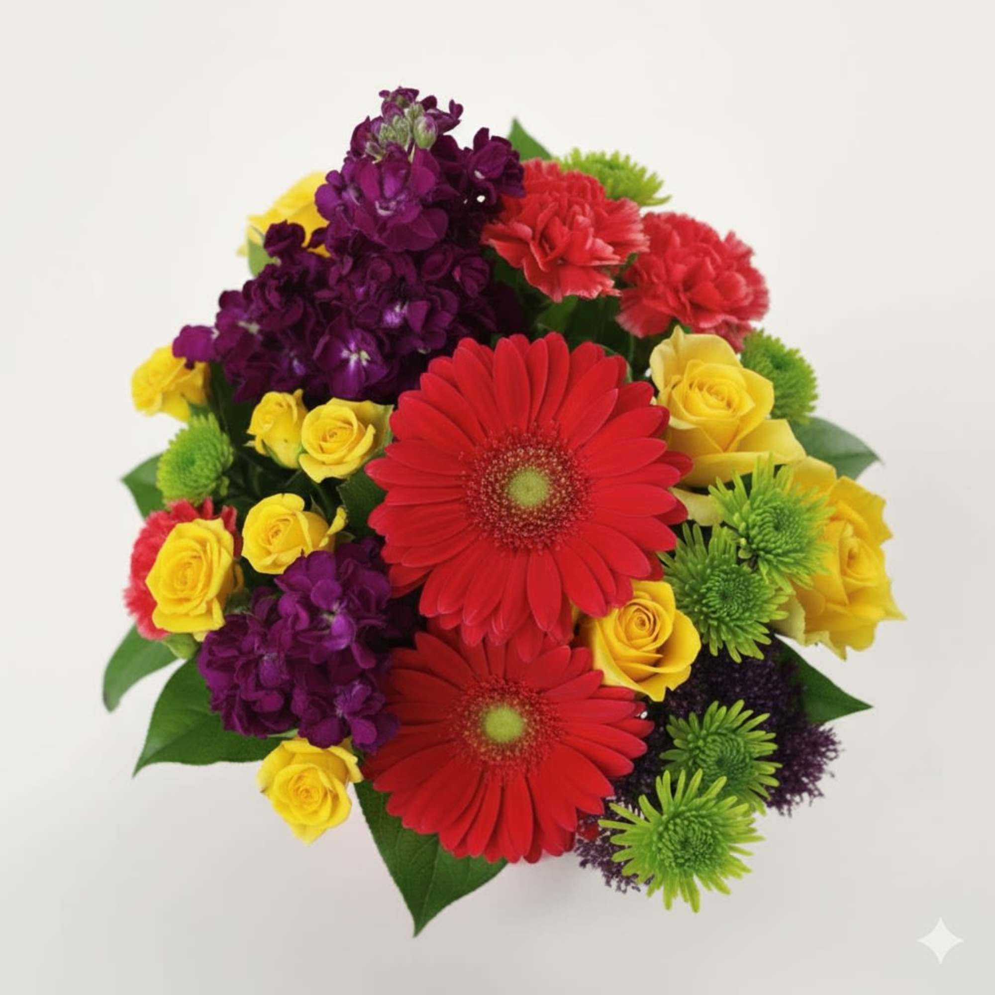  Pet Friendly?
No - This arrangement includes daisy chrysanthemums and eucalyptus, which
