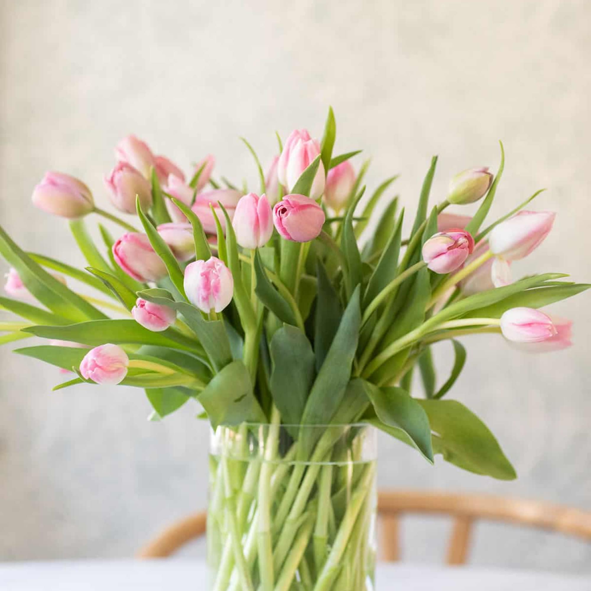 Pink tulips arranged in a clear glass vase