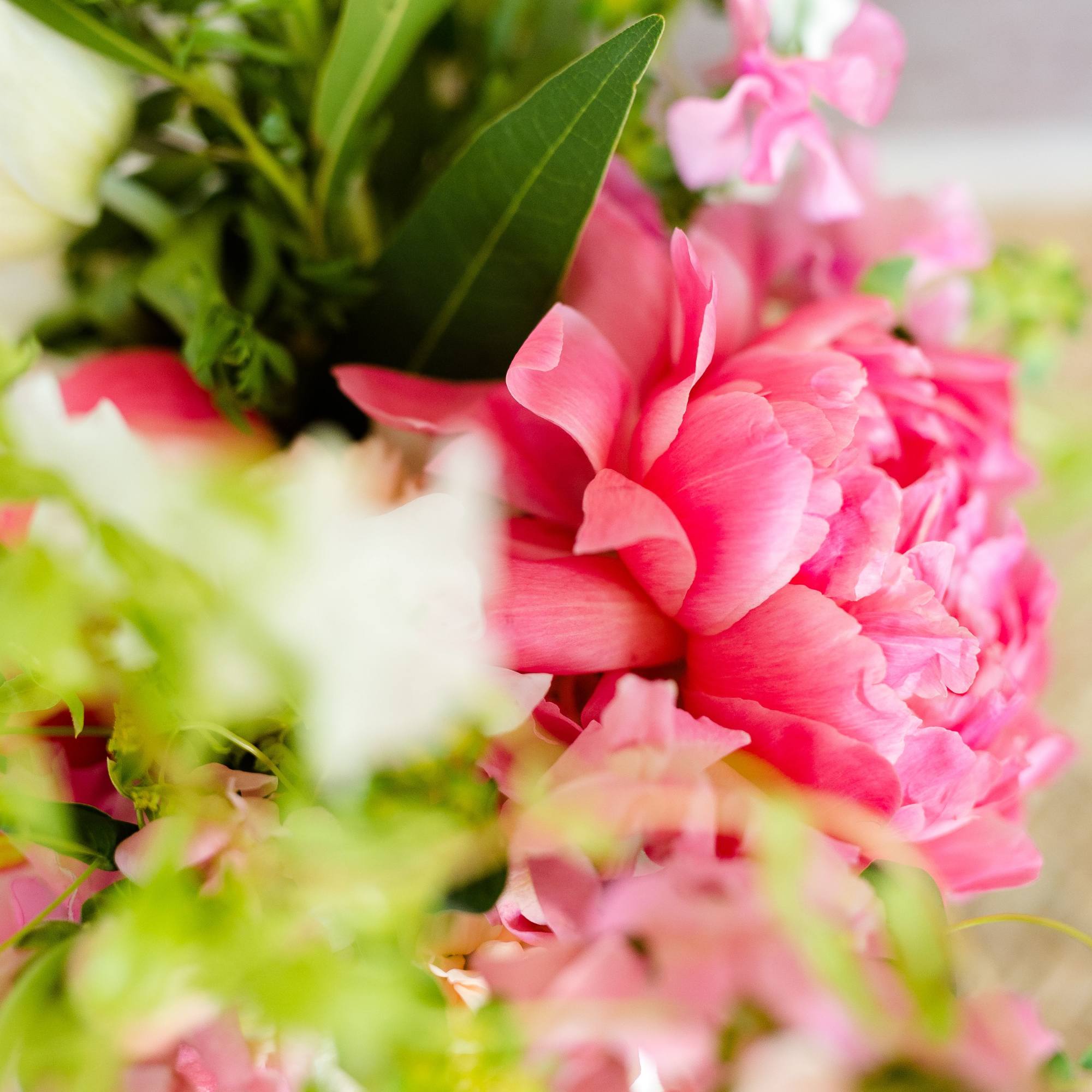 Close-up bouquet with bright pink blooms and white flowers